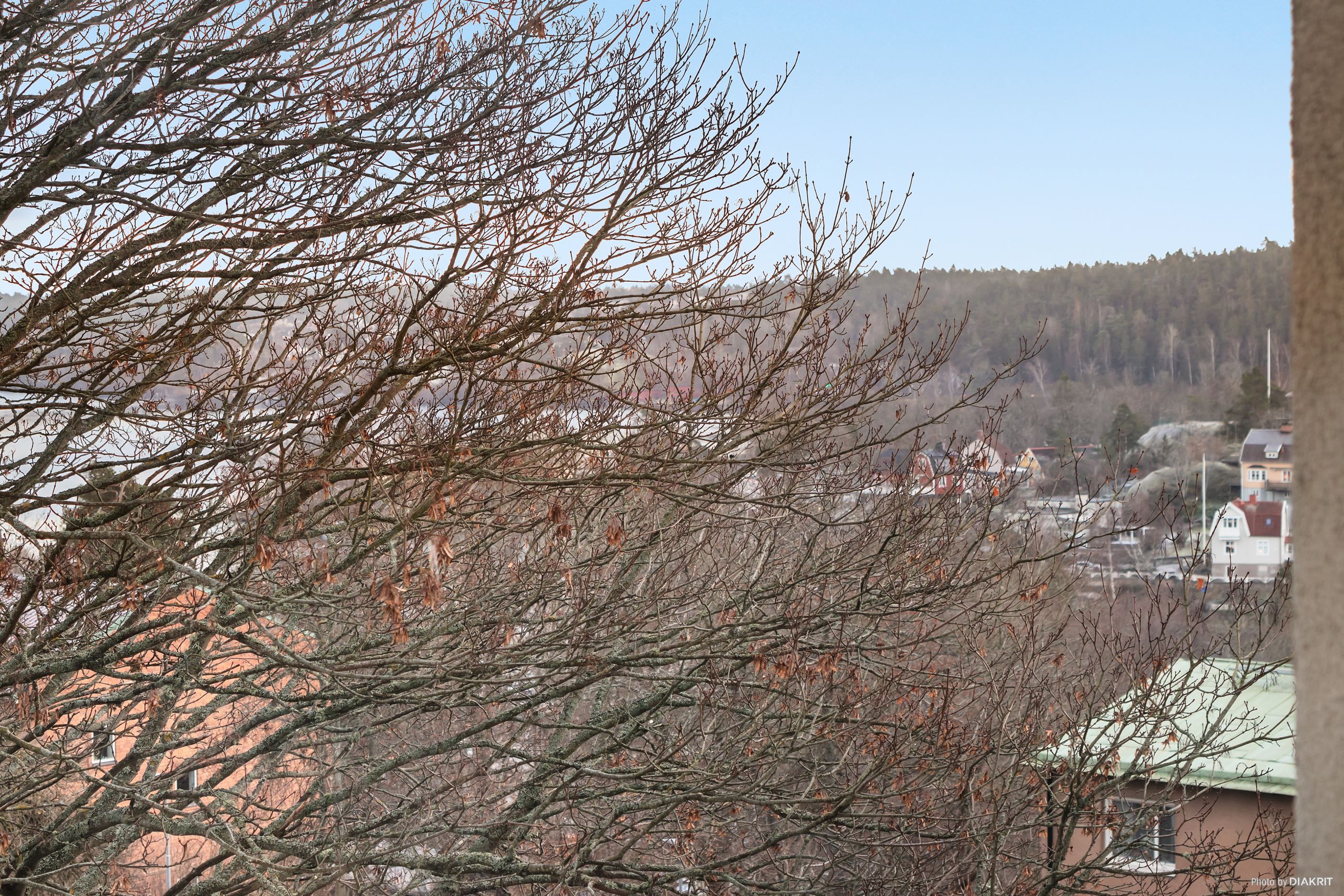 Närbild från köksfönstret