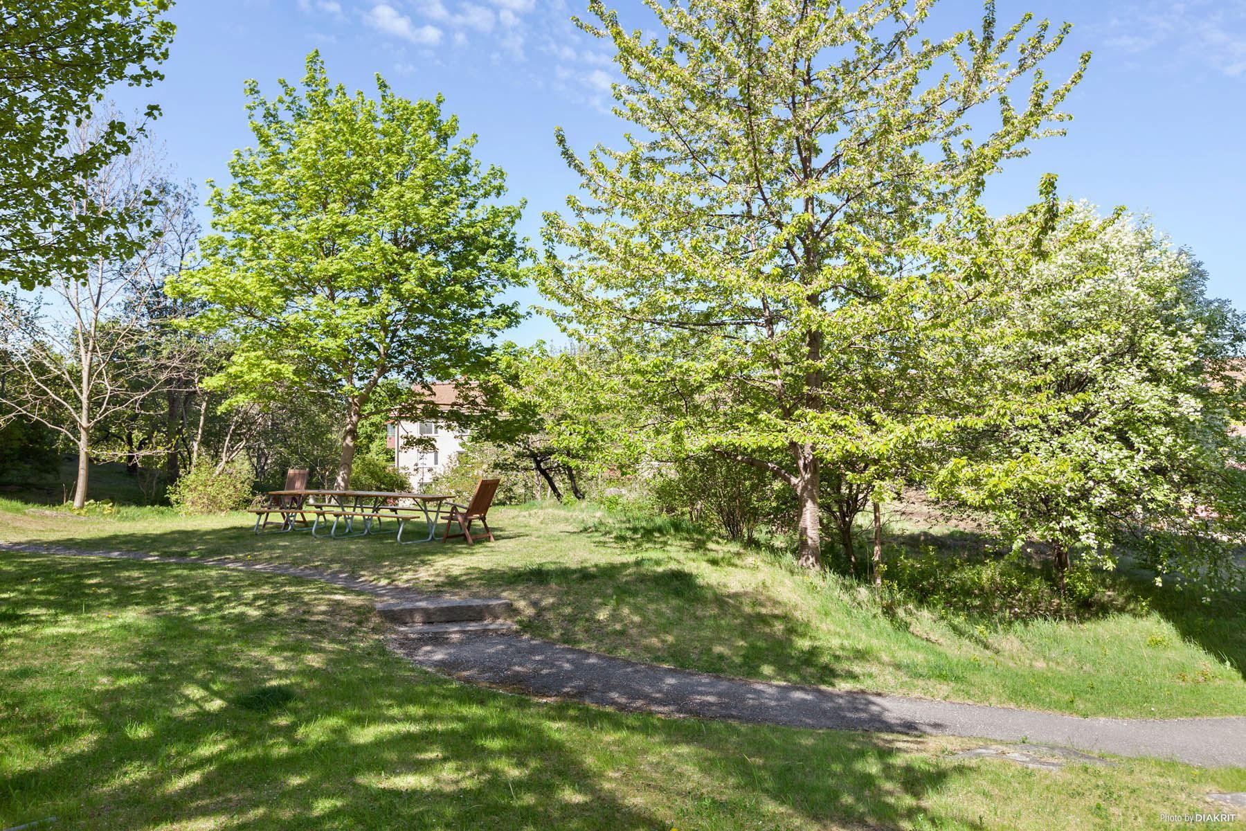 Fint grönområde i området