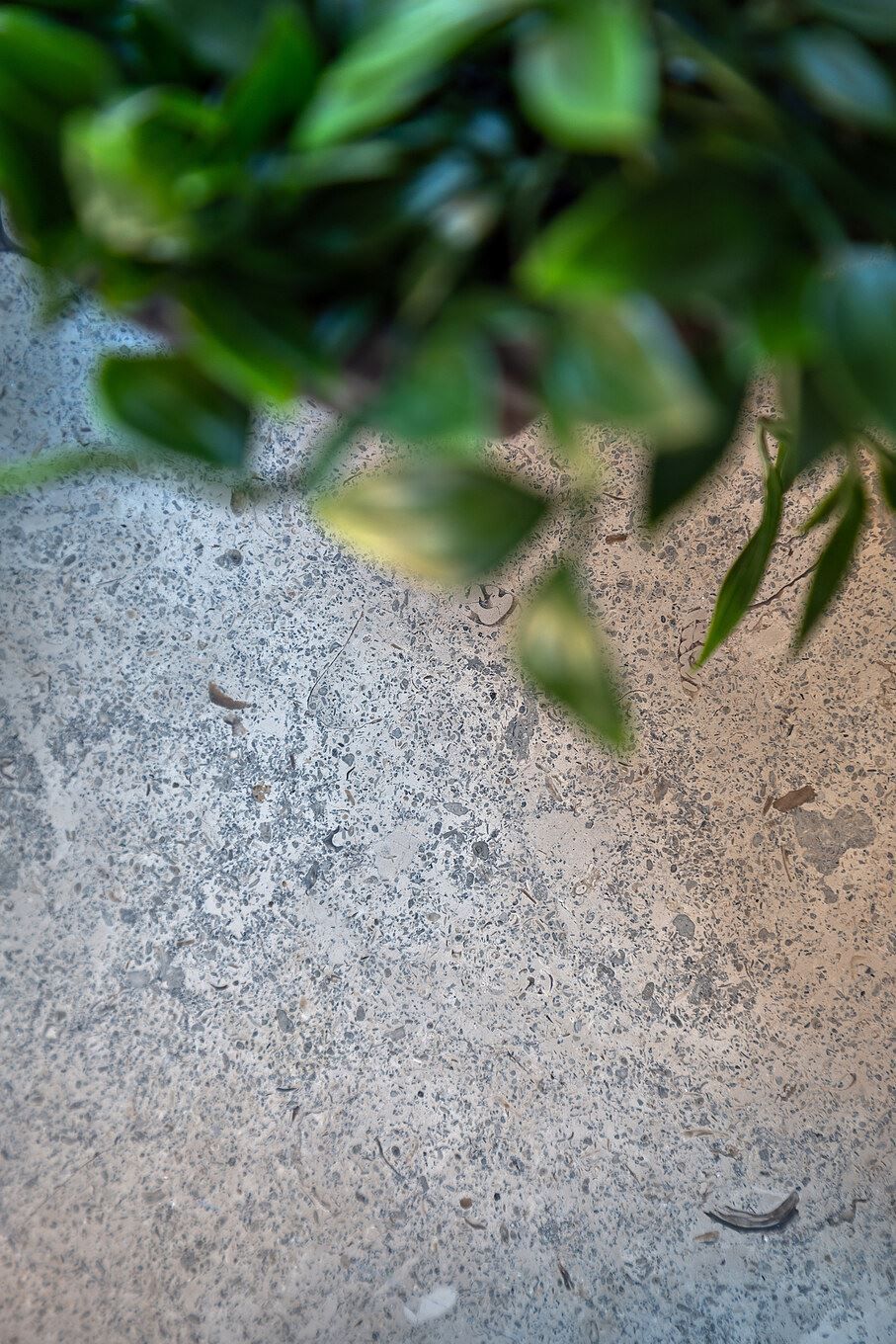 Bostäderna i Brf Oakhouse har vackra stenskivor i fönstren