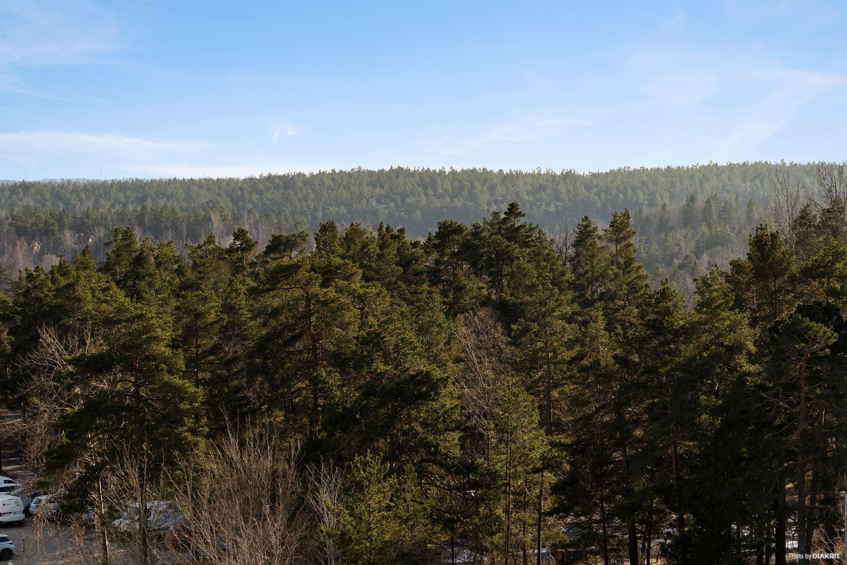 Utsikt från vardagsrummet