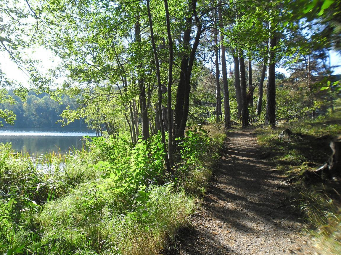 Fina joggingstråk och promenadvägar