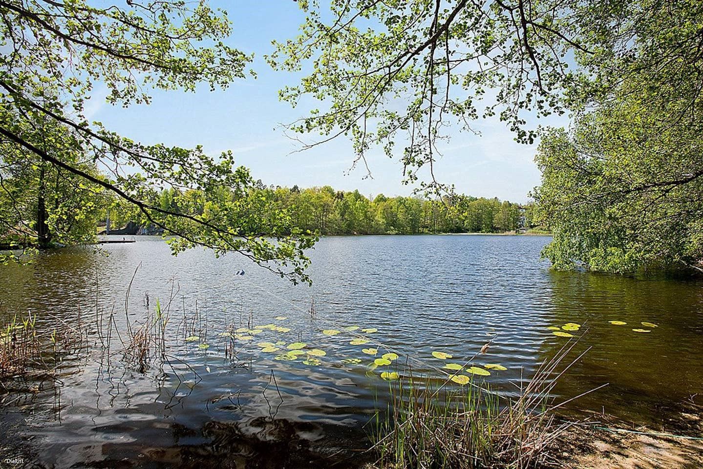 Bastusjön