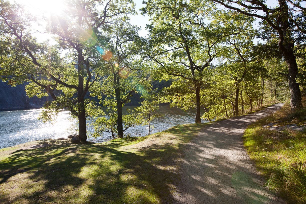 Fantastiska Nyckelviken naturreservat angränsar till området