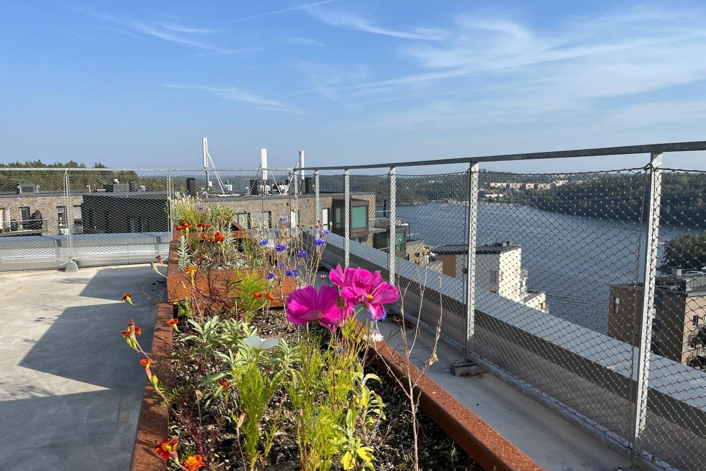Säljarens bild - takterrassen