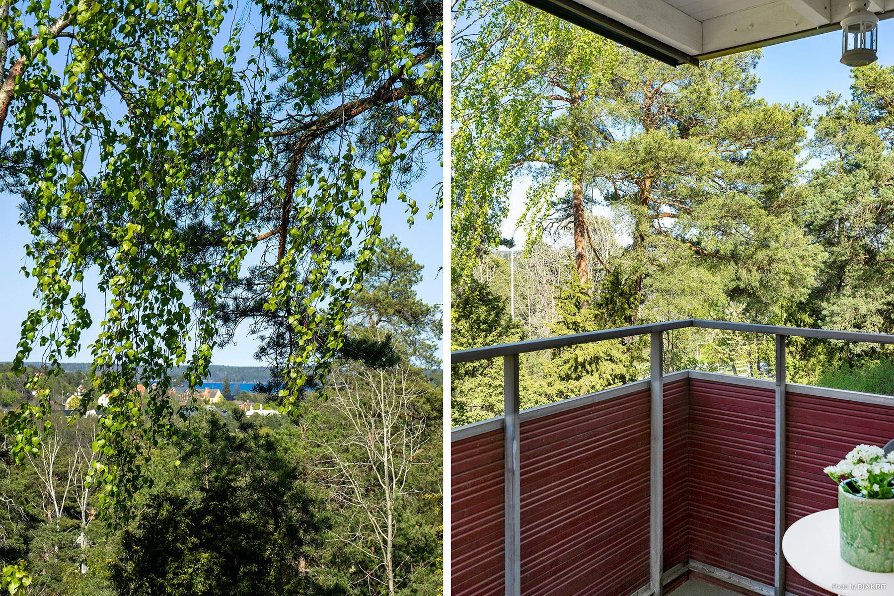 Grönskande utsikt från balkongen!