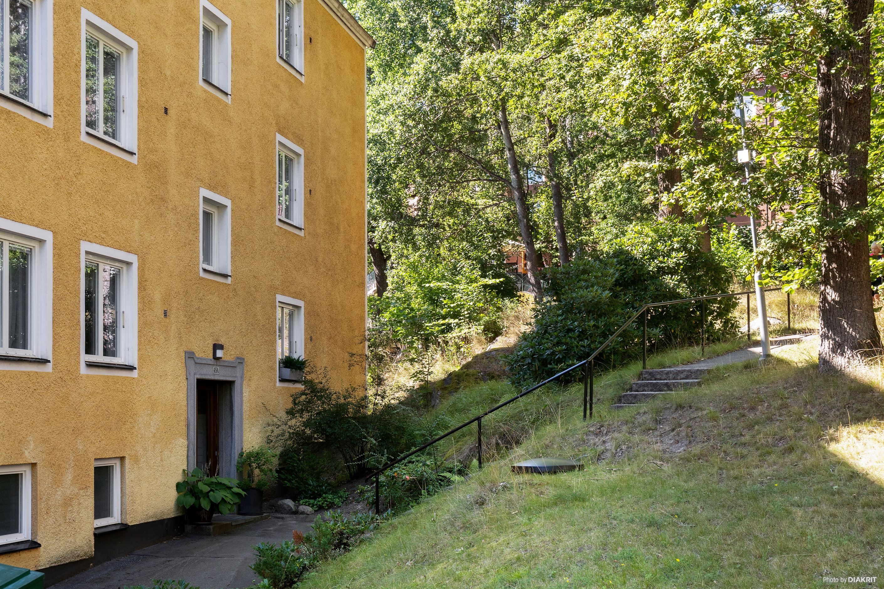Grönt och lummigt runt omkring