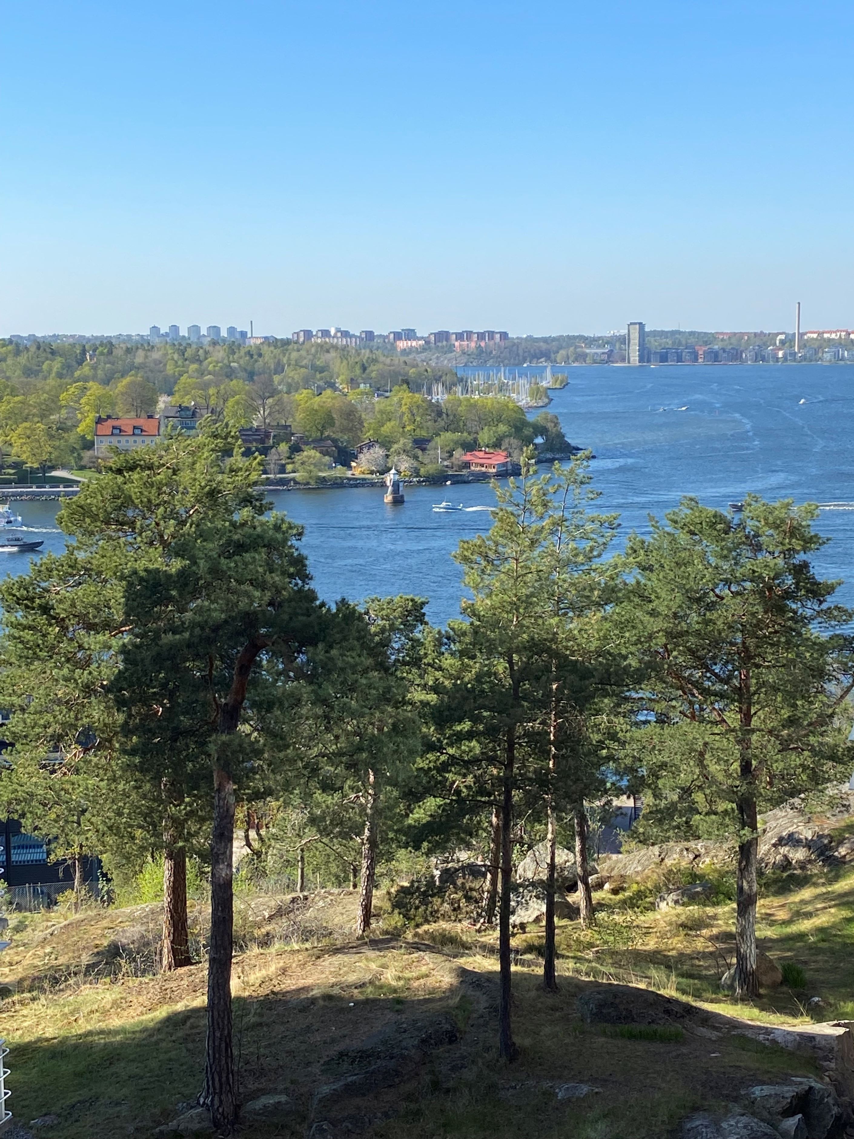 Säljarens egen bild