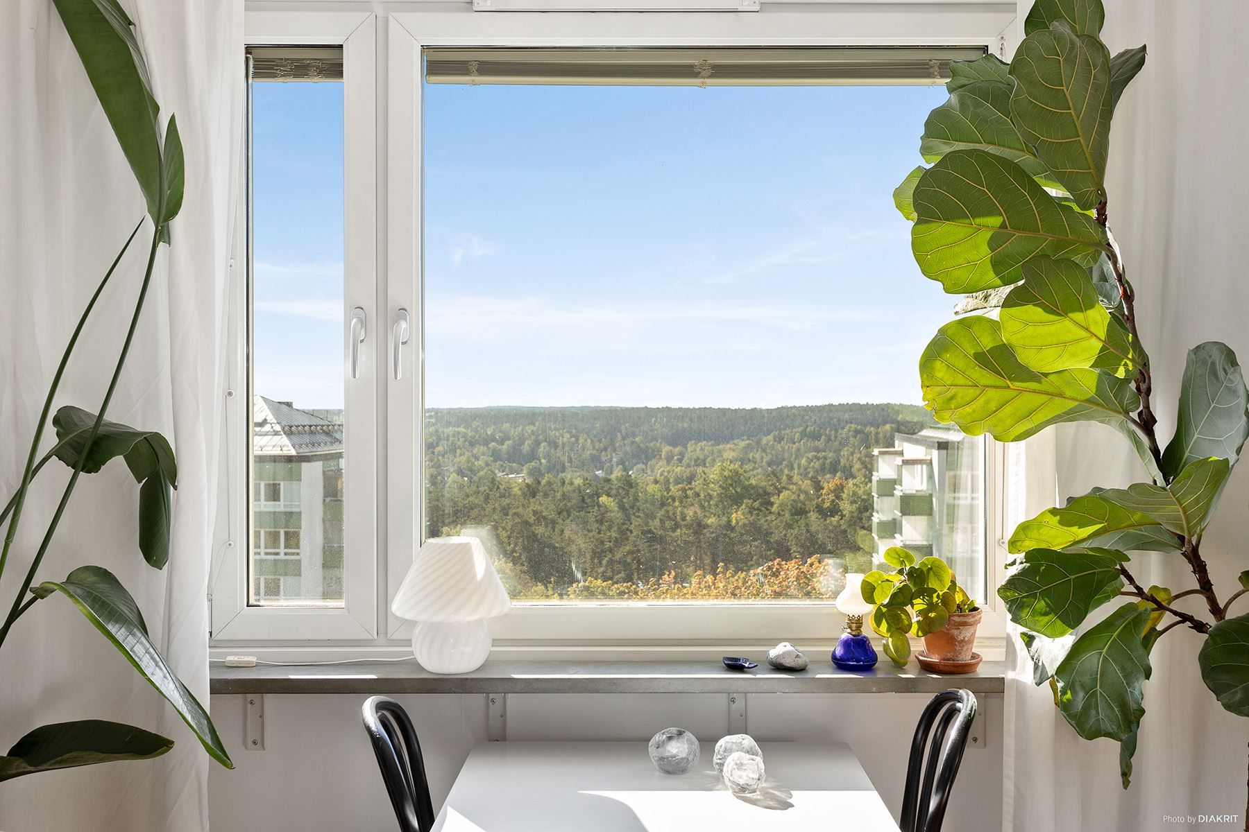 Utsikten från lägenhetens fönster