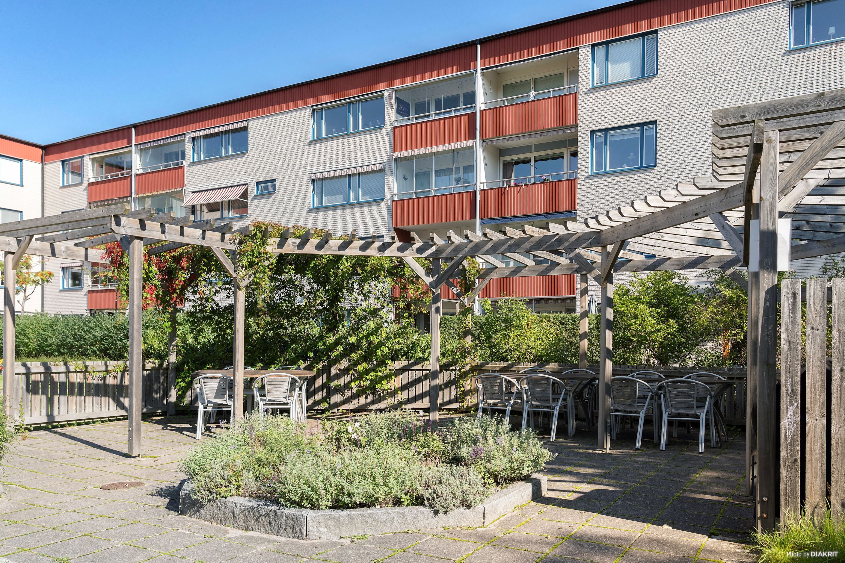 Föreningens gemensamma innergård