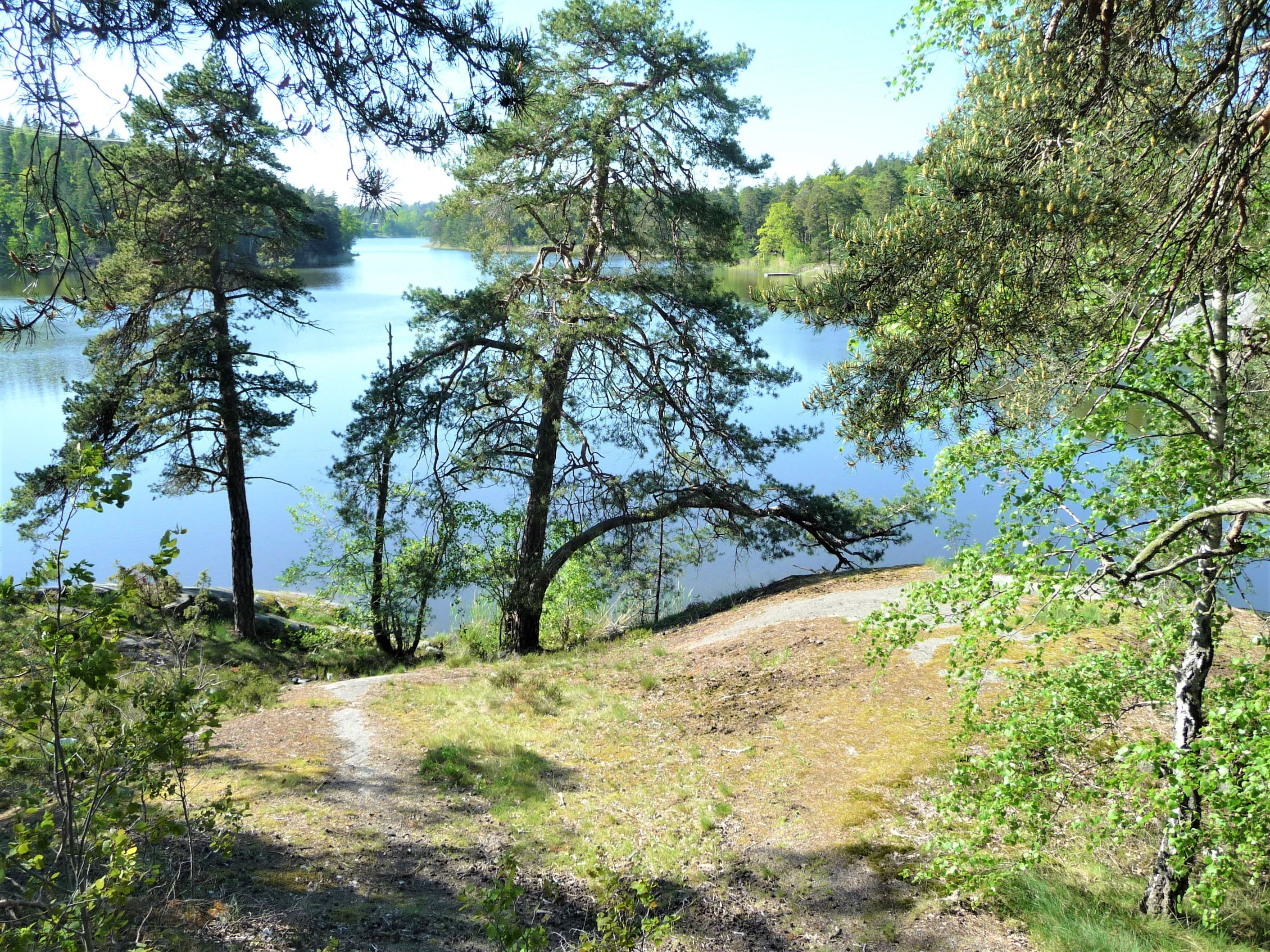 Sågsjön