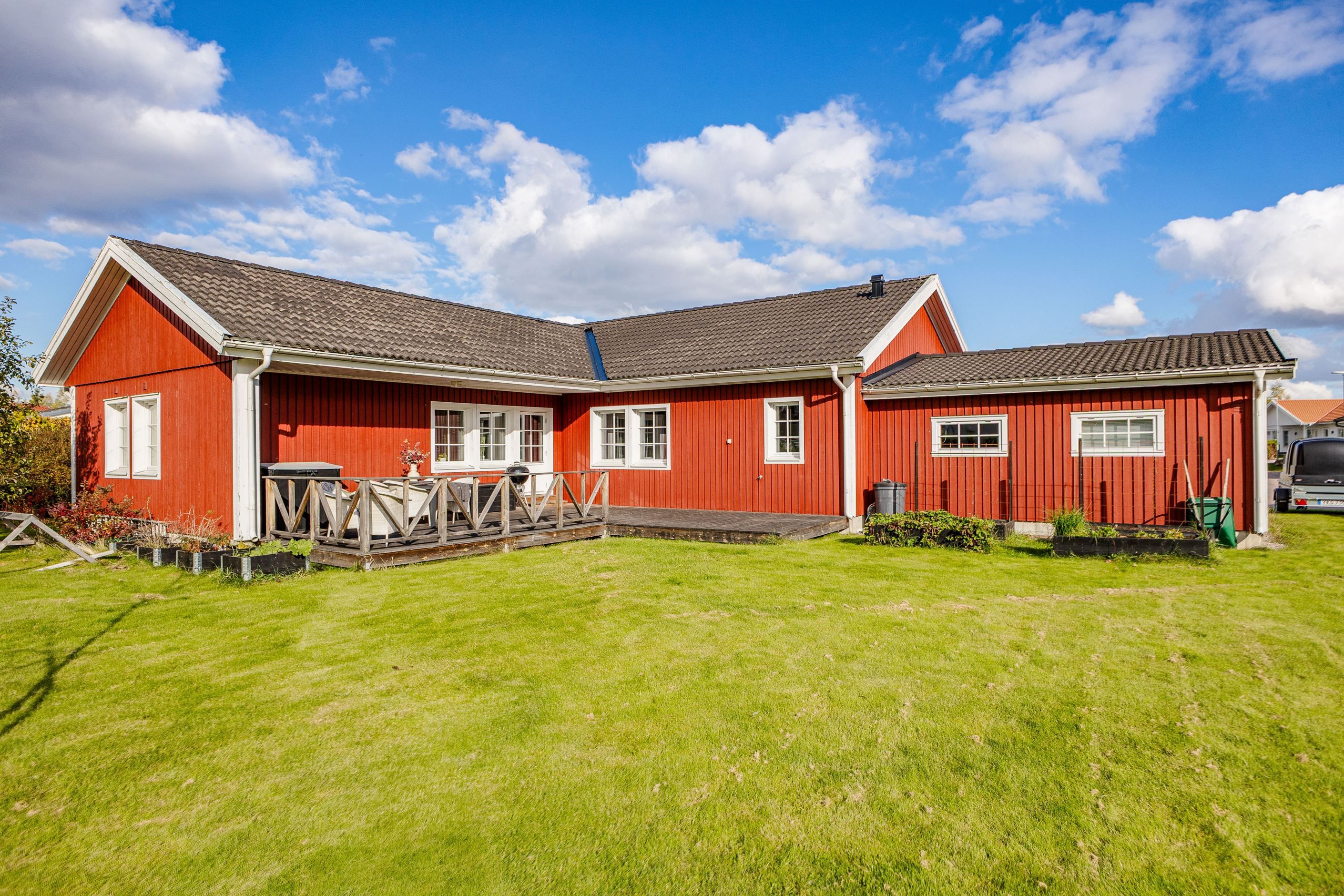 Trädgård