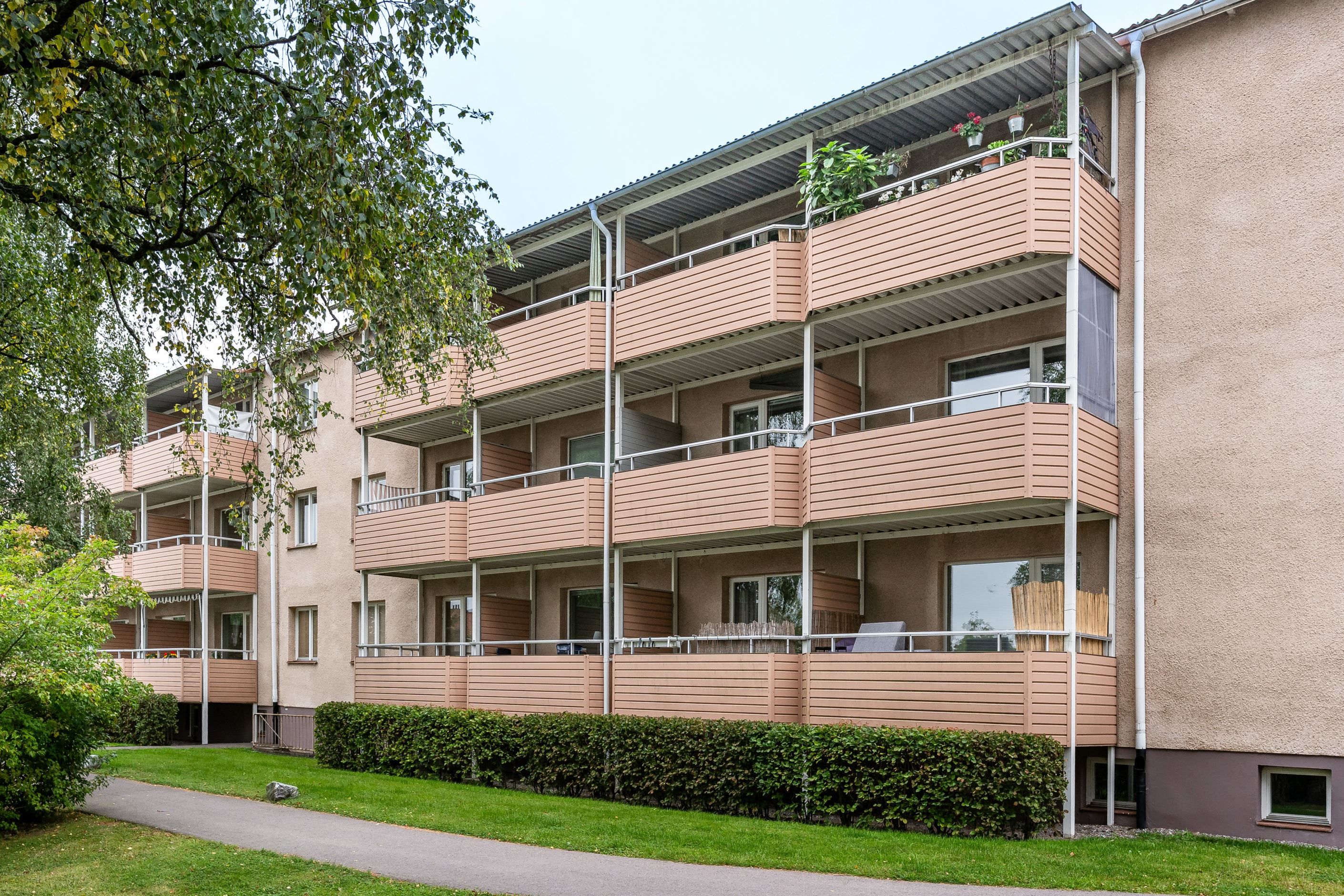 Exteriör