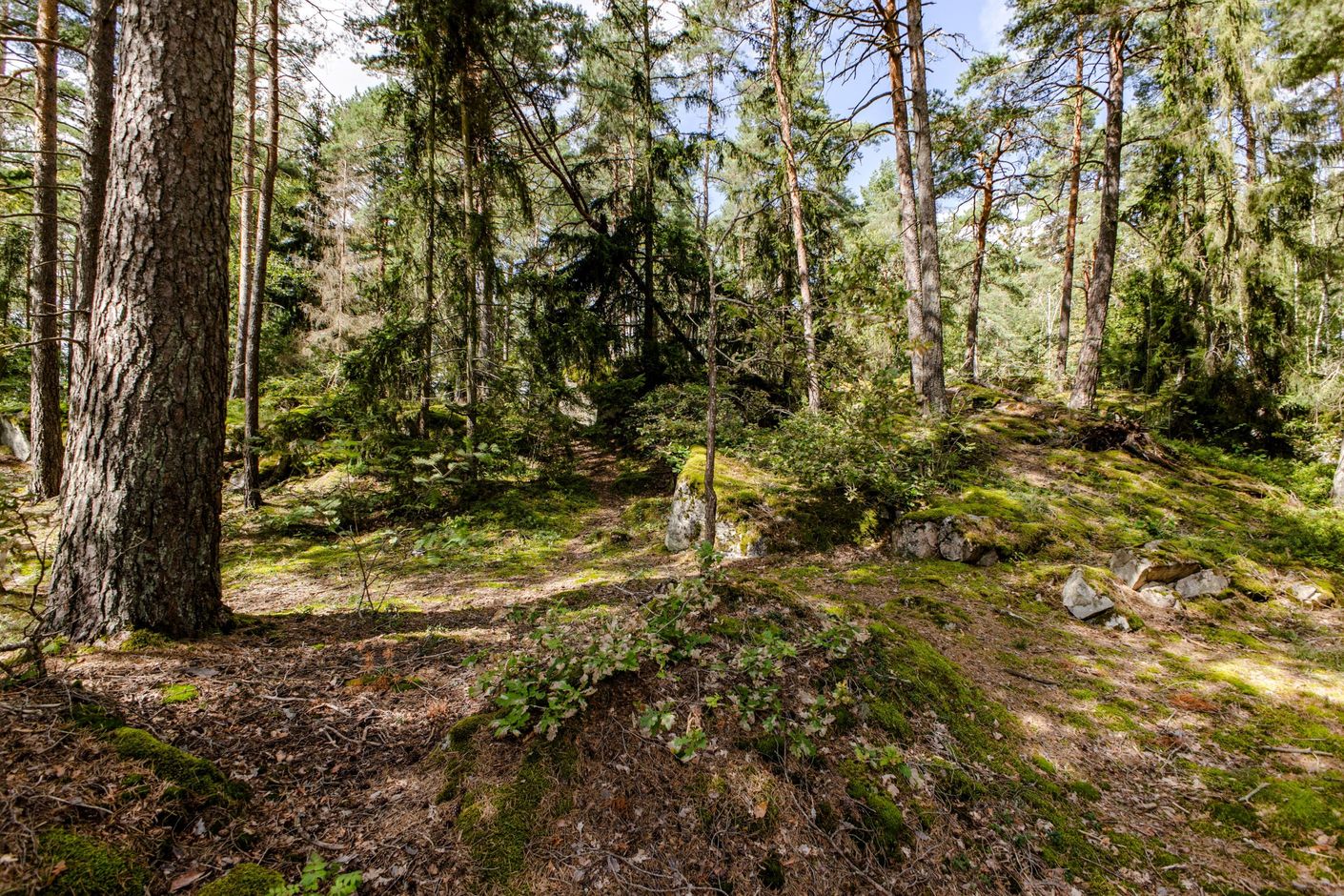 Områdesbild