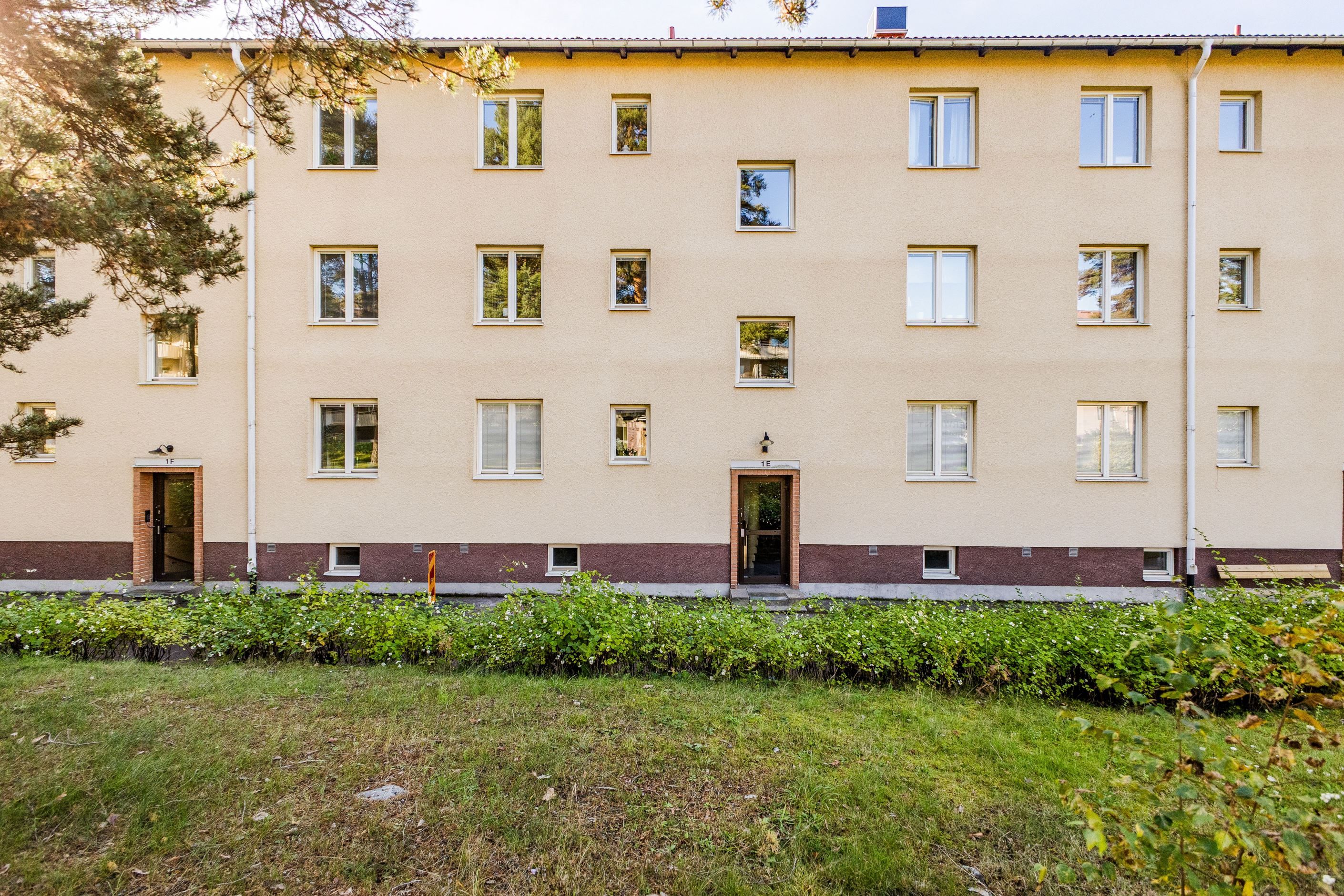 Exteriör