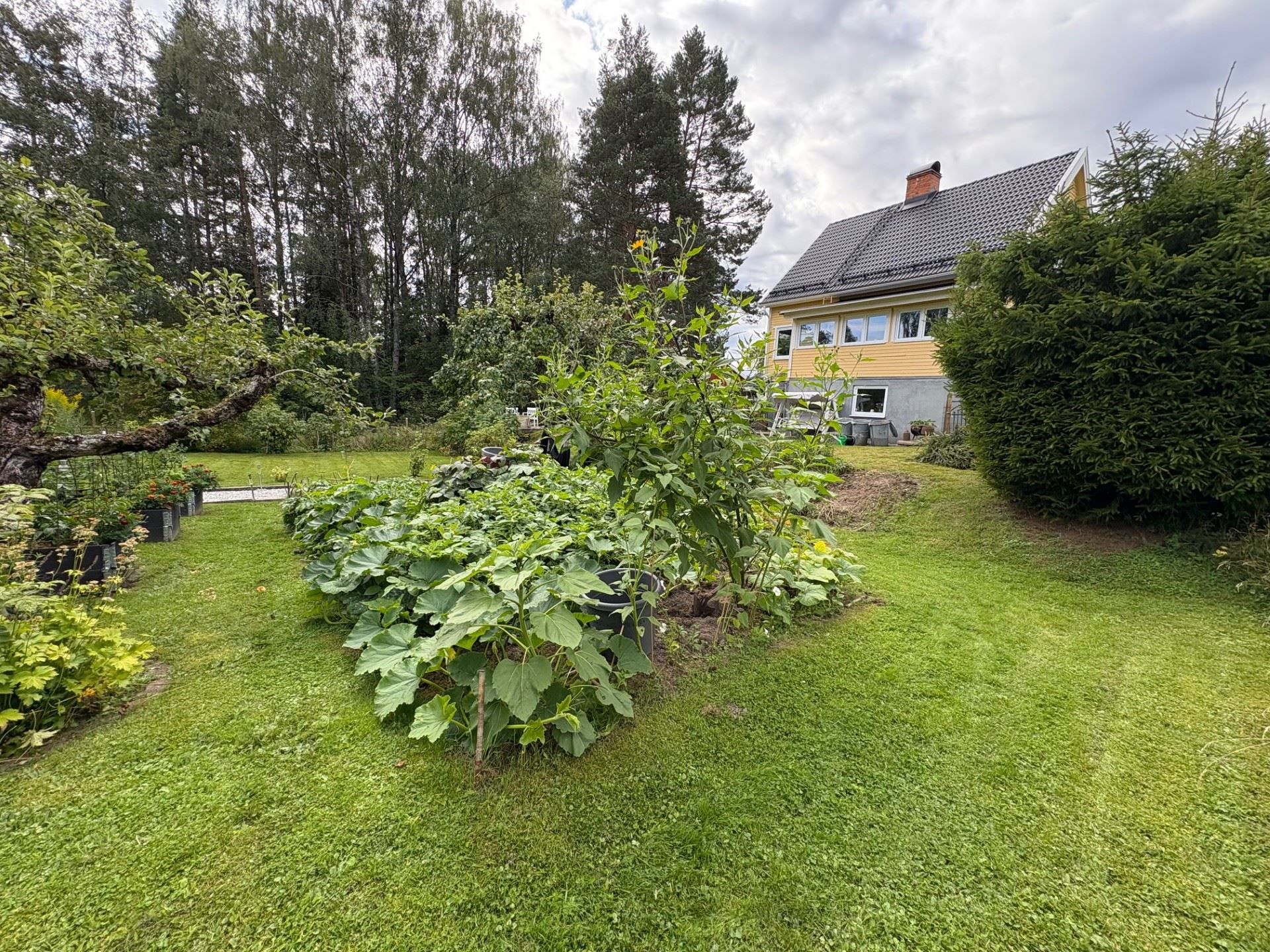 Privat bild