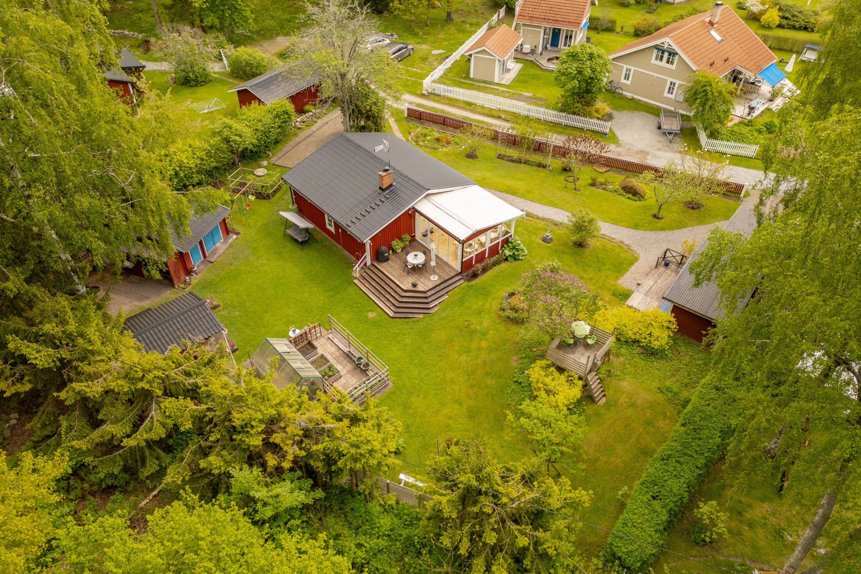 Trädgård