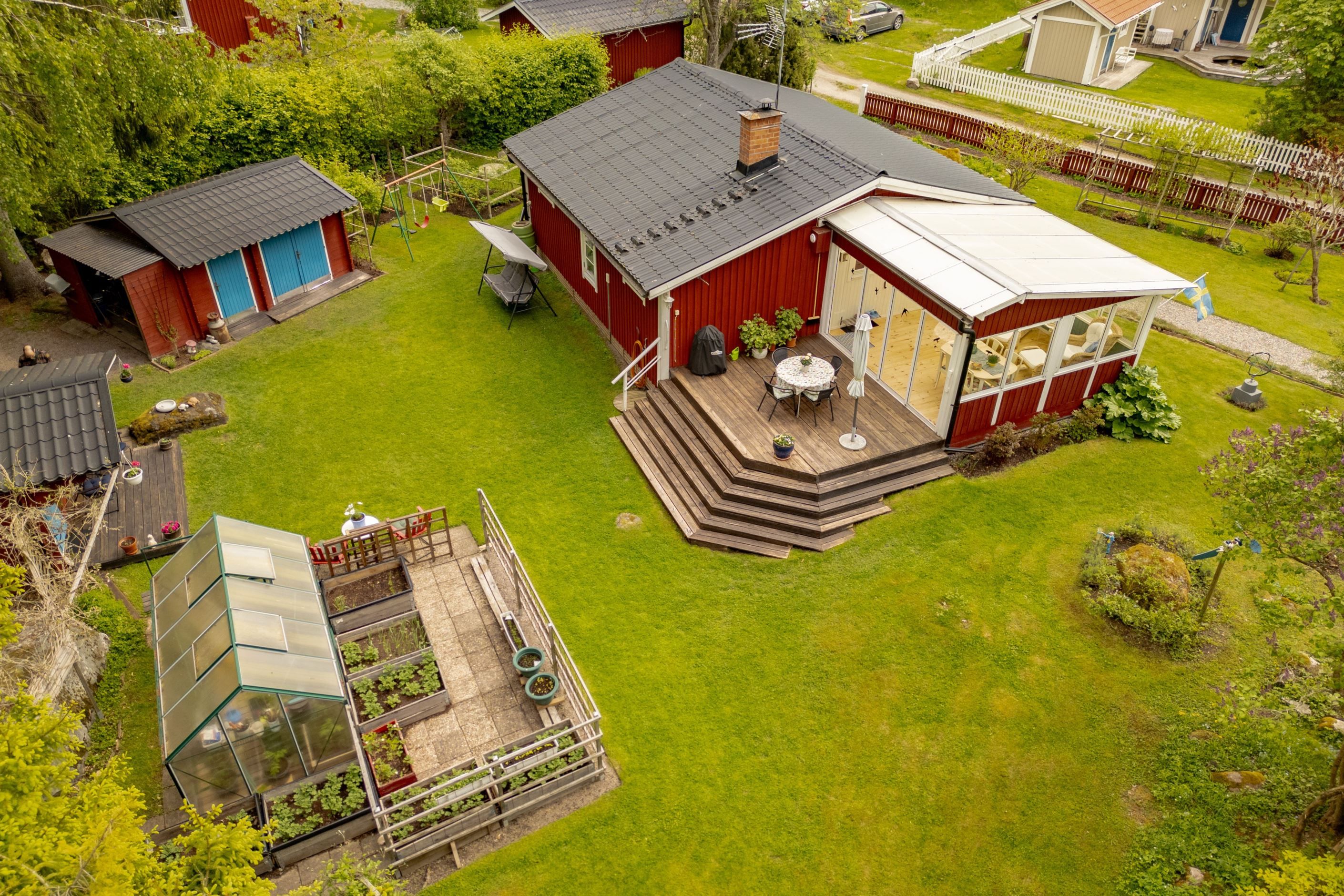 Trädgård