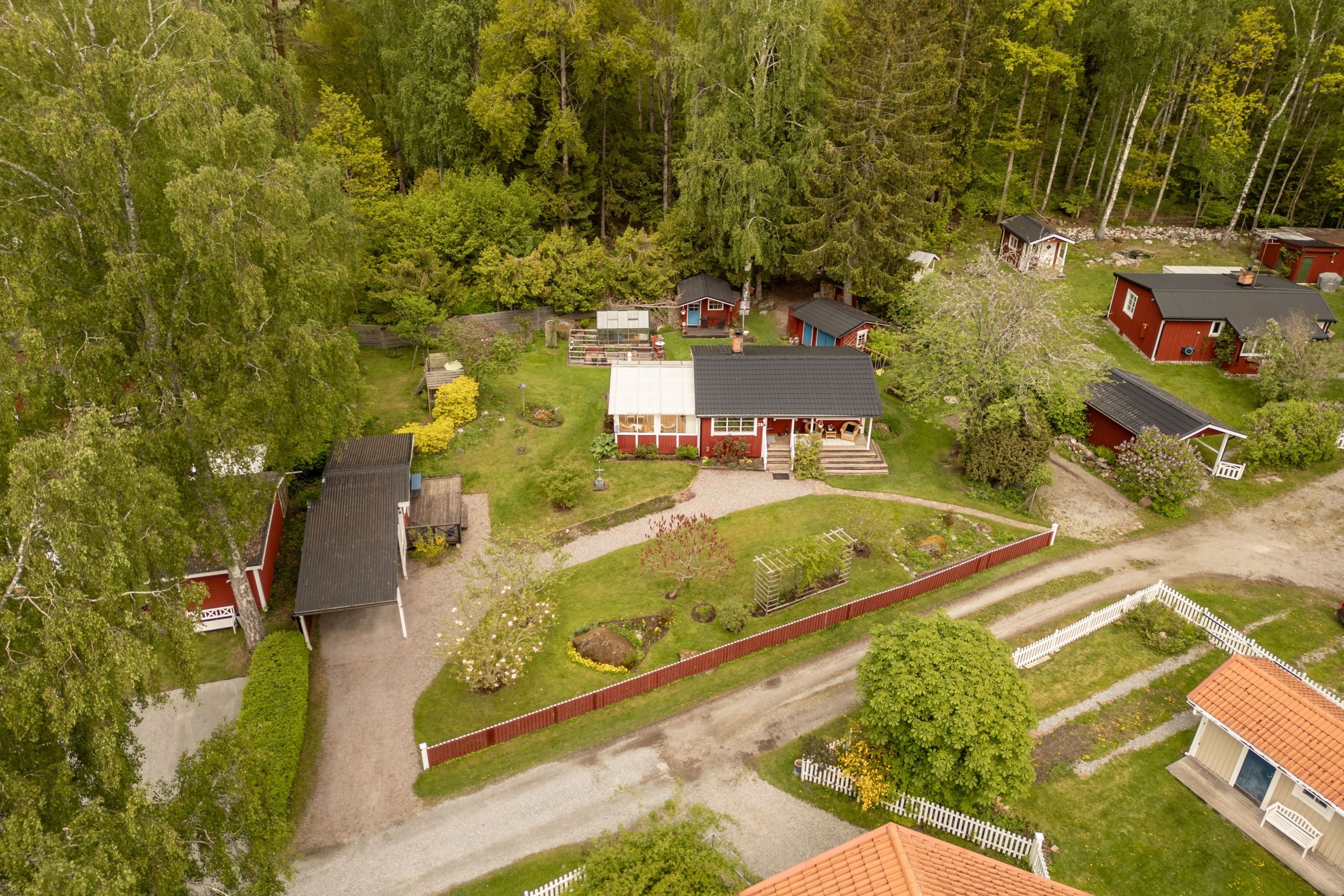 Trädgård