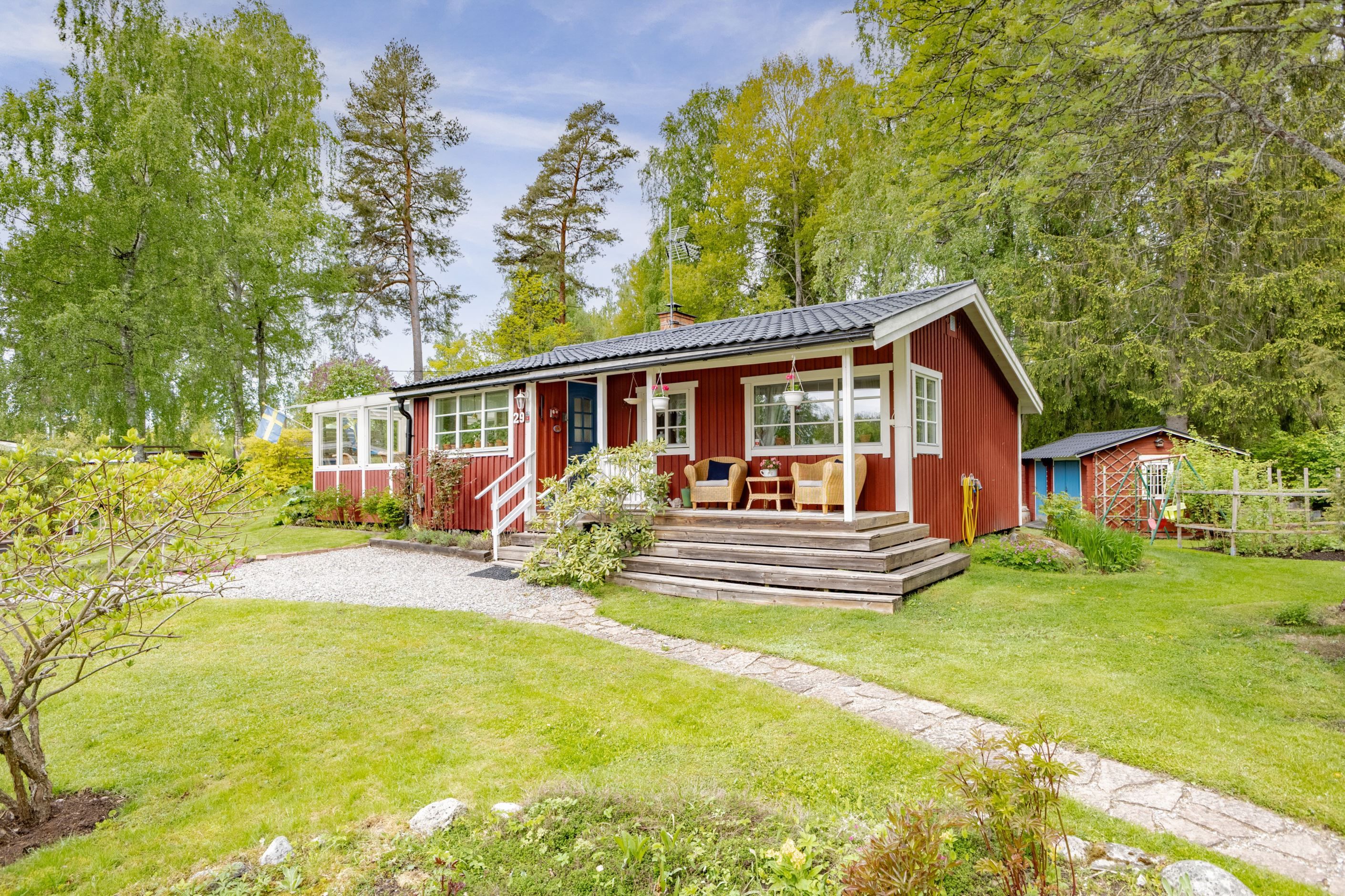 Trädgård