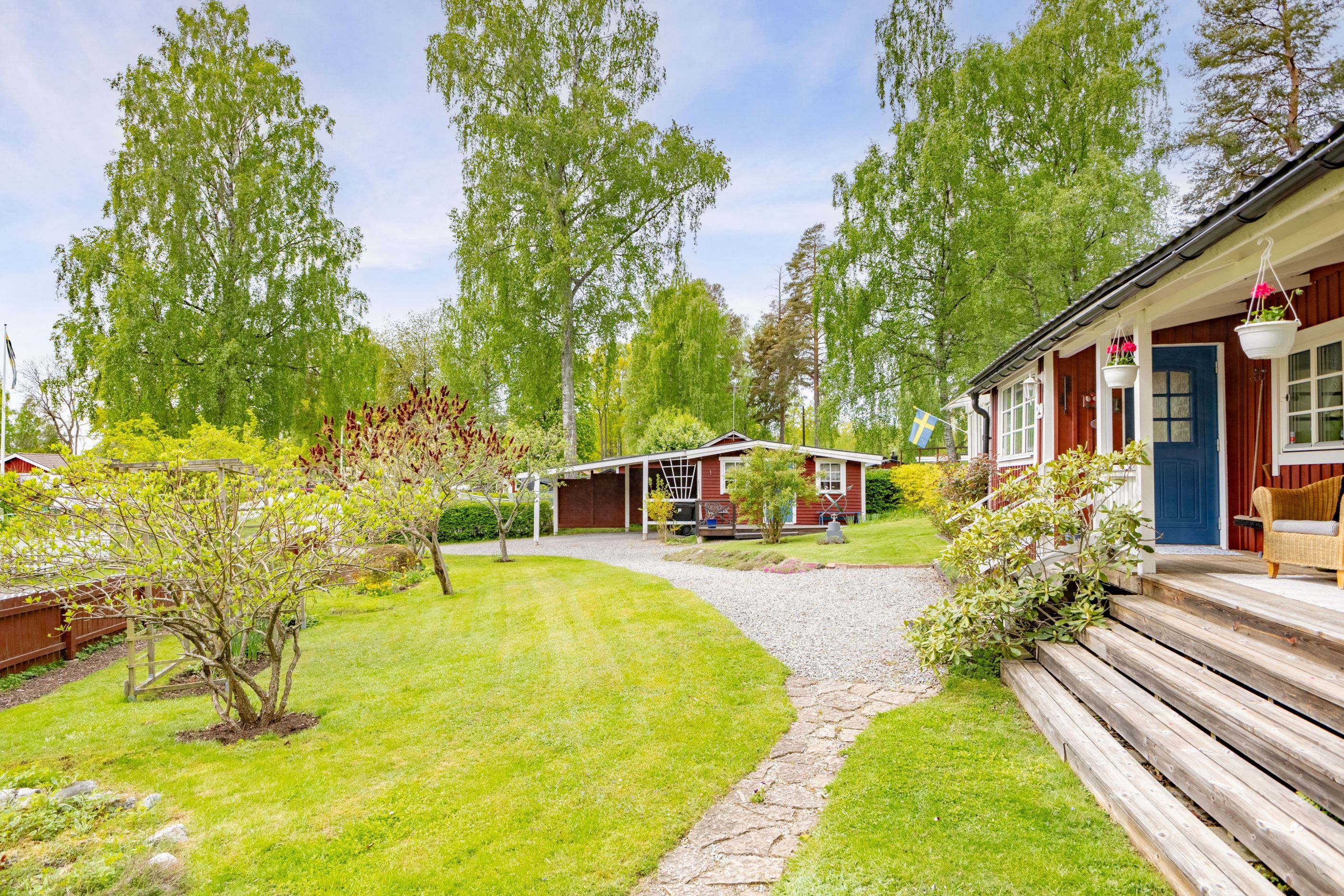 Trädgård