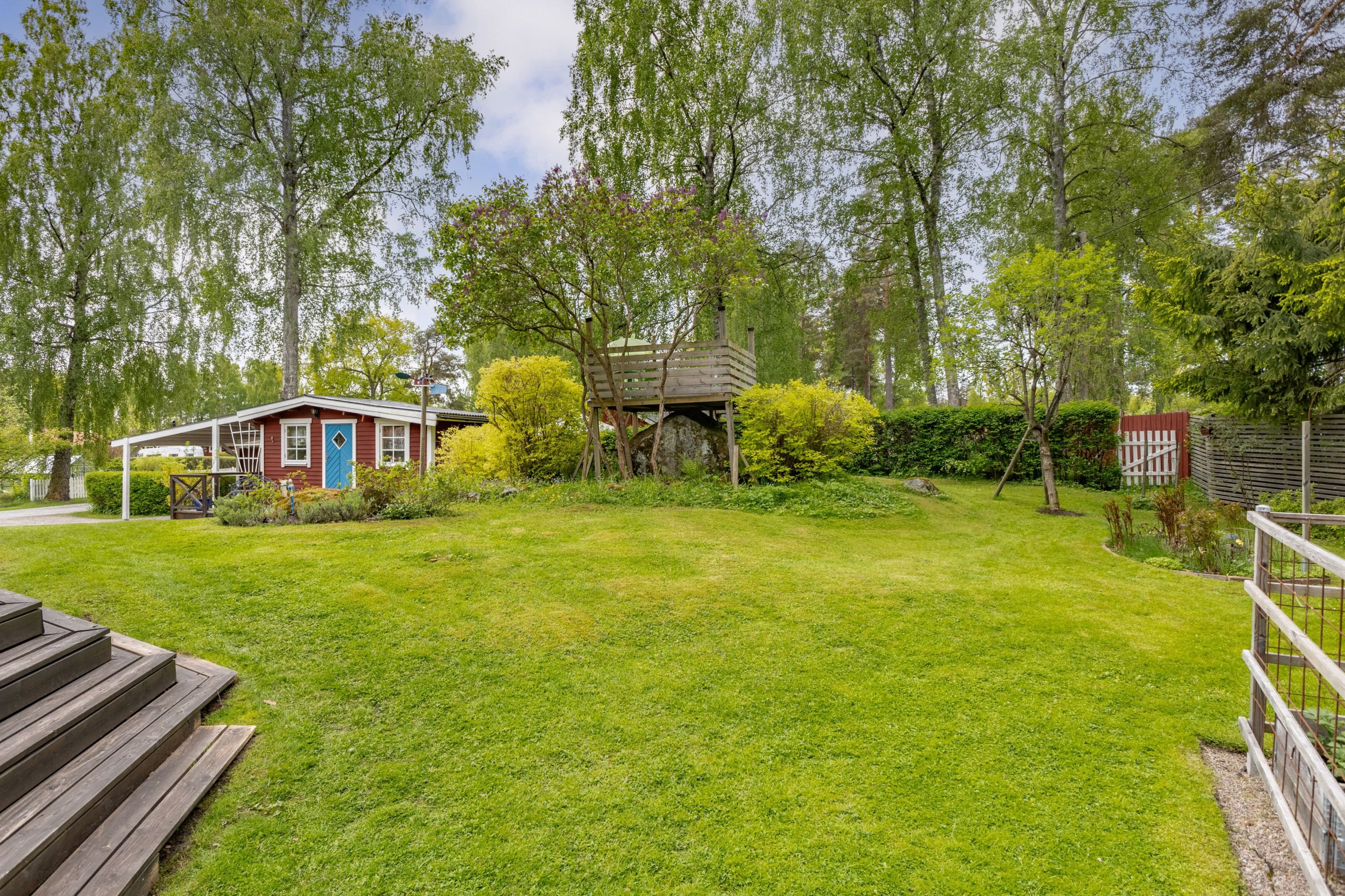 Trädgård