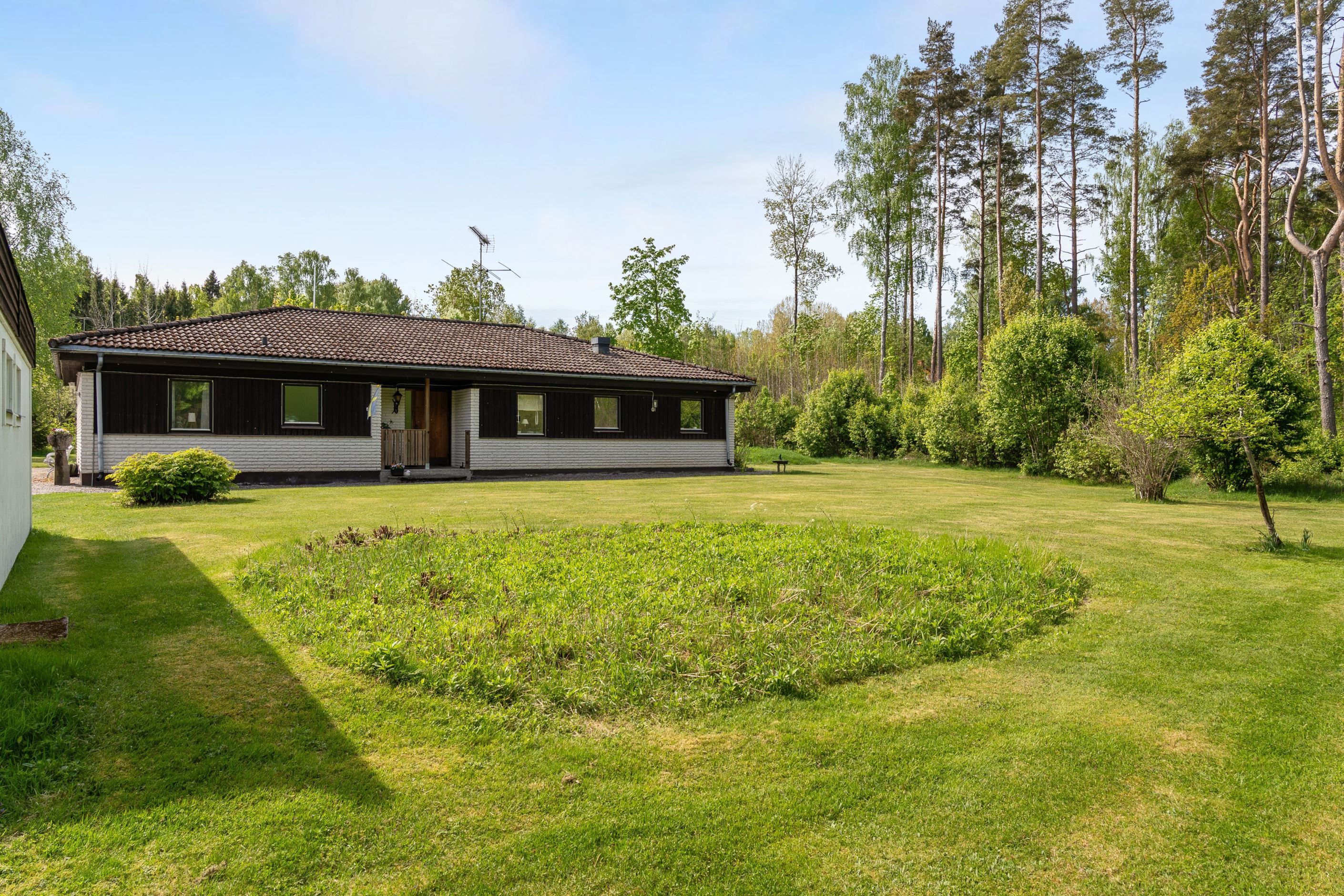 Trädgård