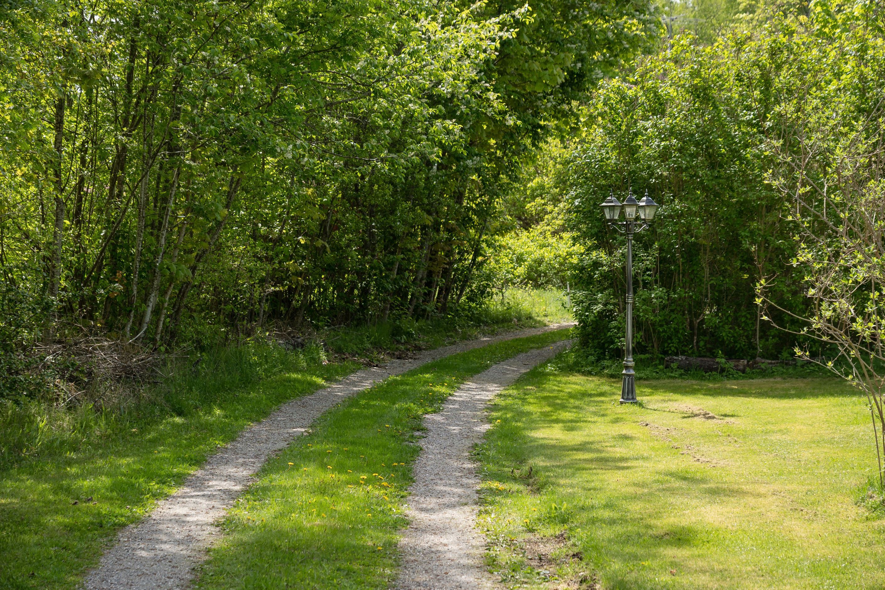 Närområde
