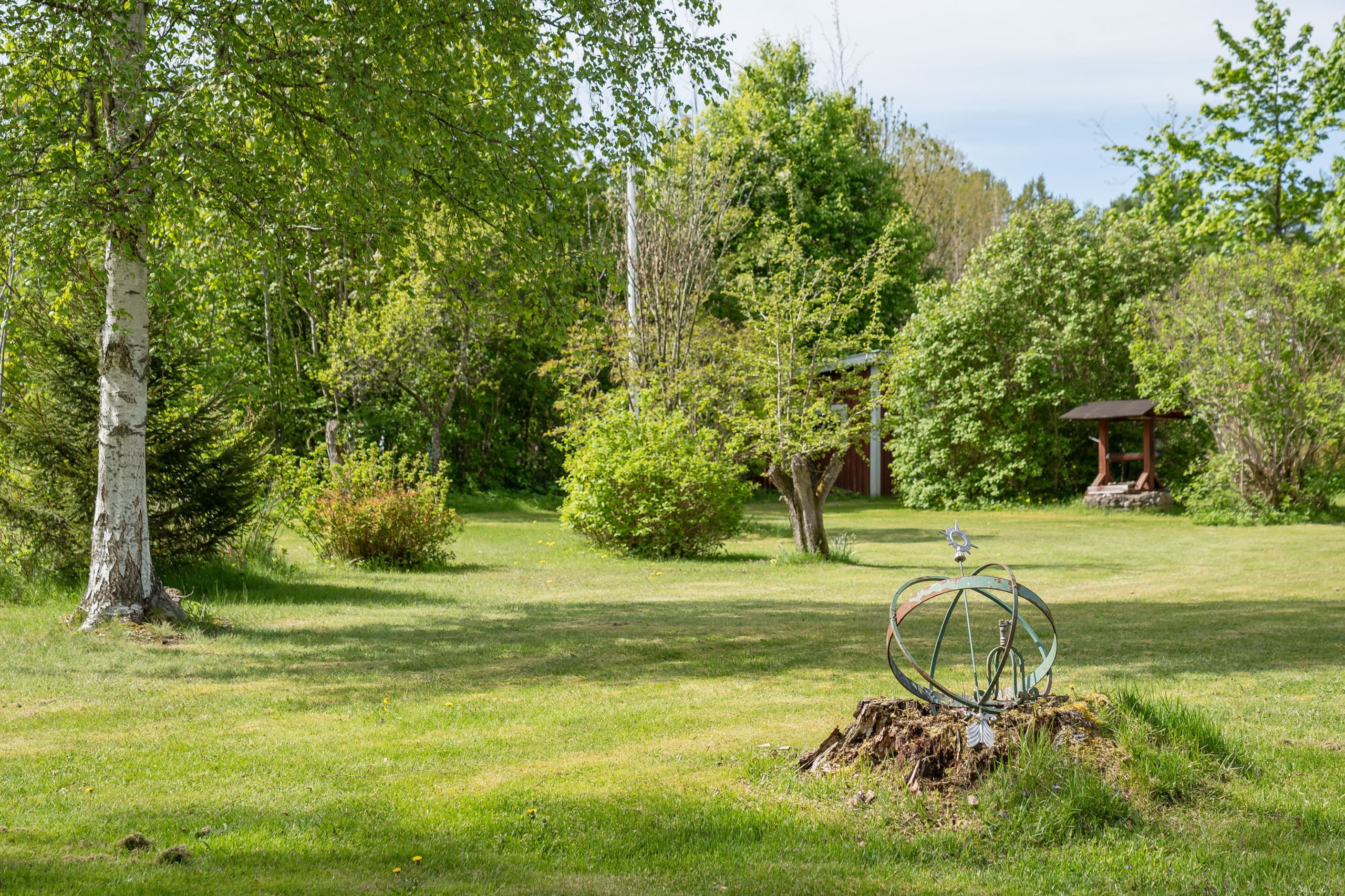 Trädgård
