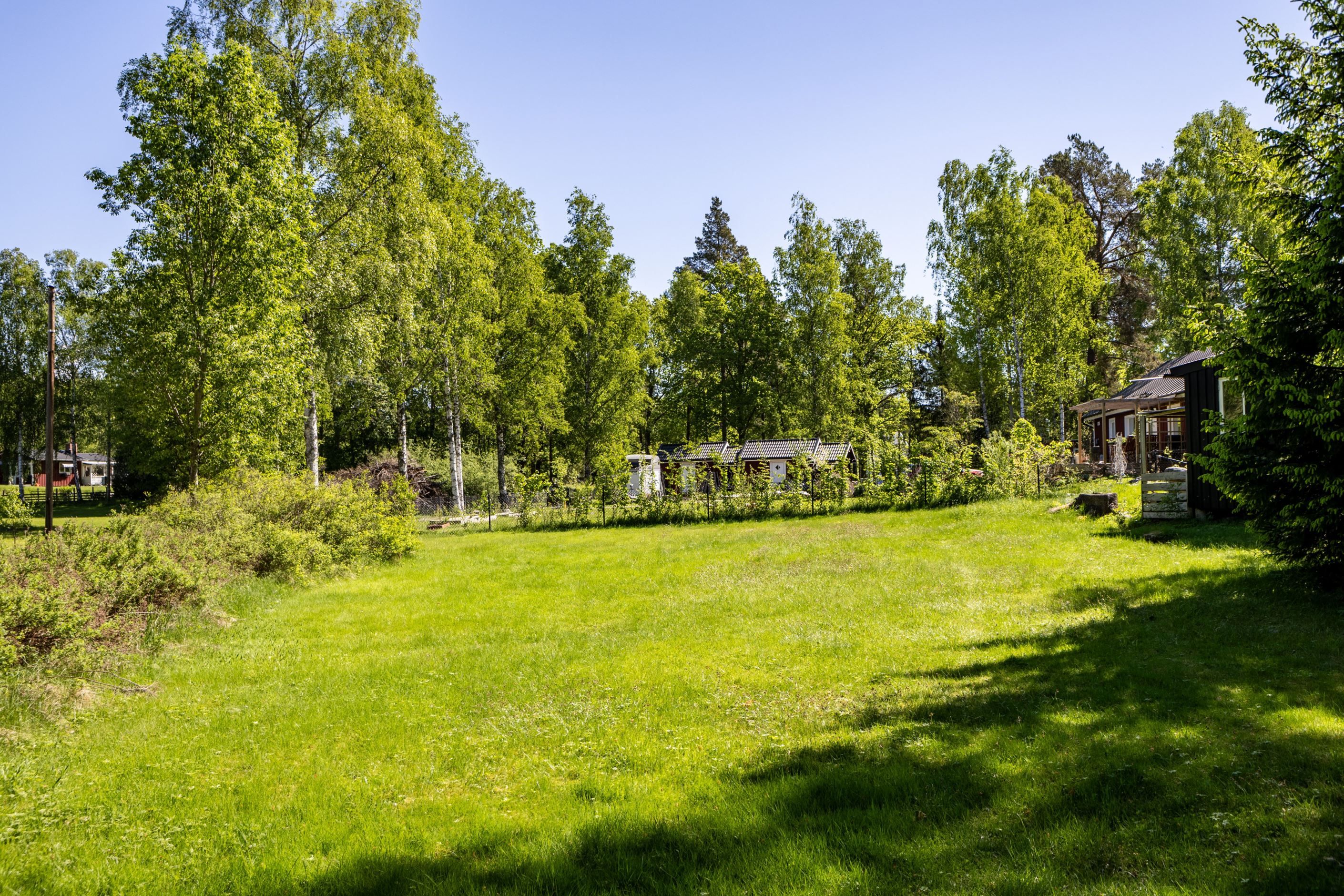 Bildkategori