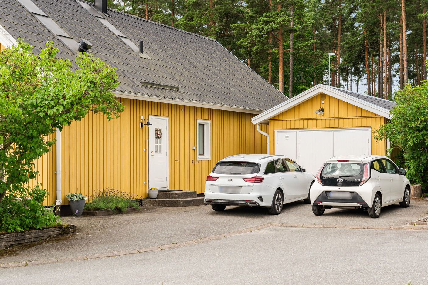 Exteriör