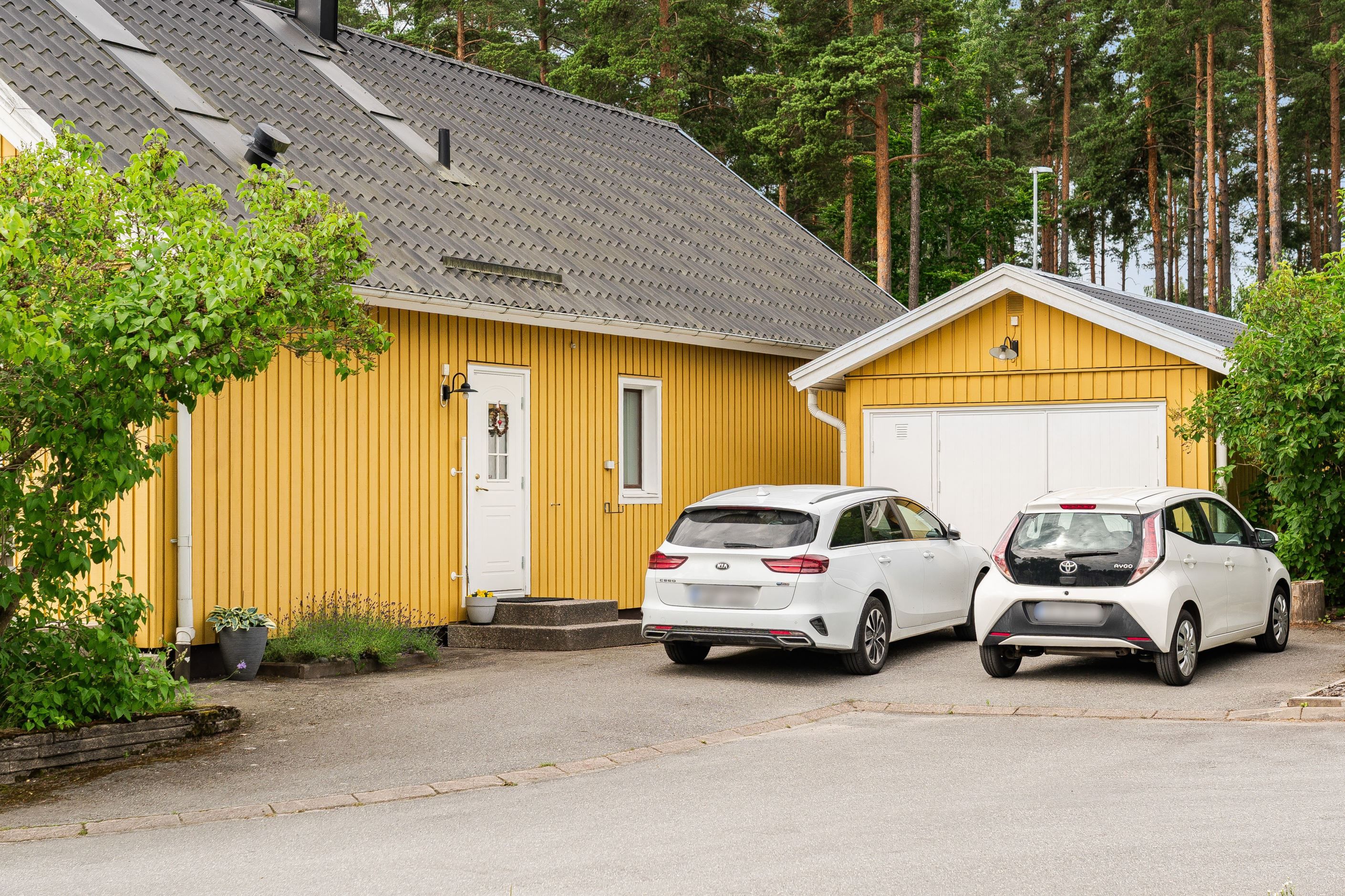 Exteriör
