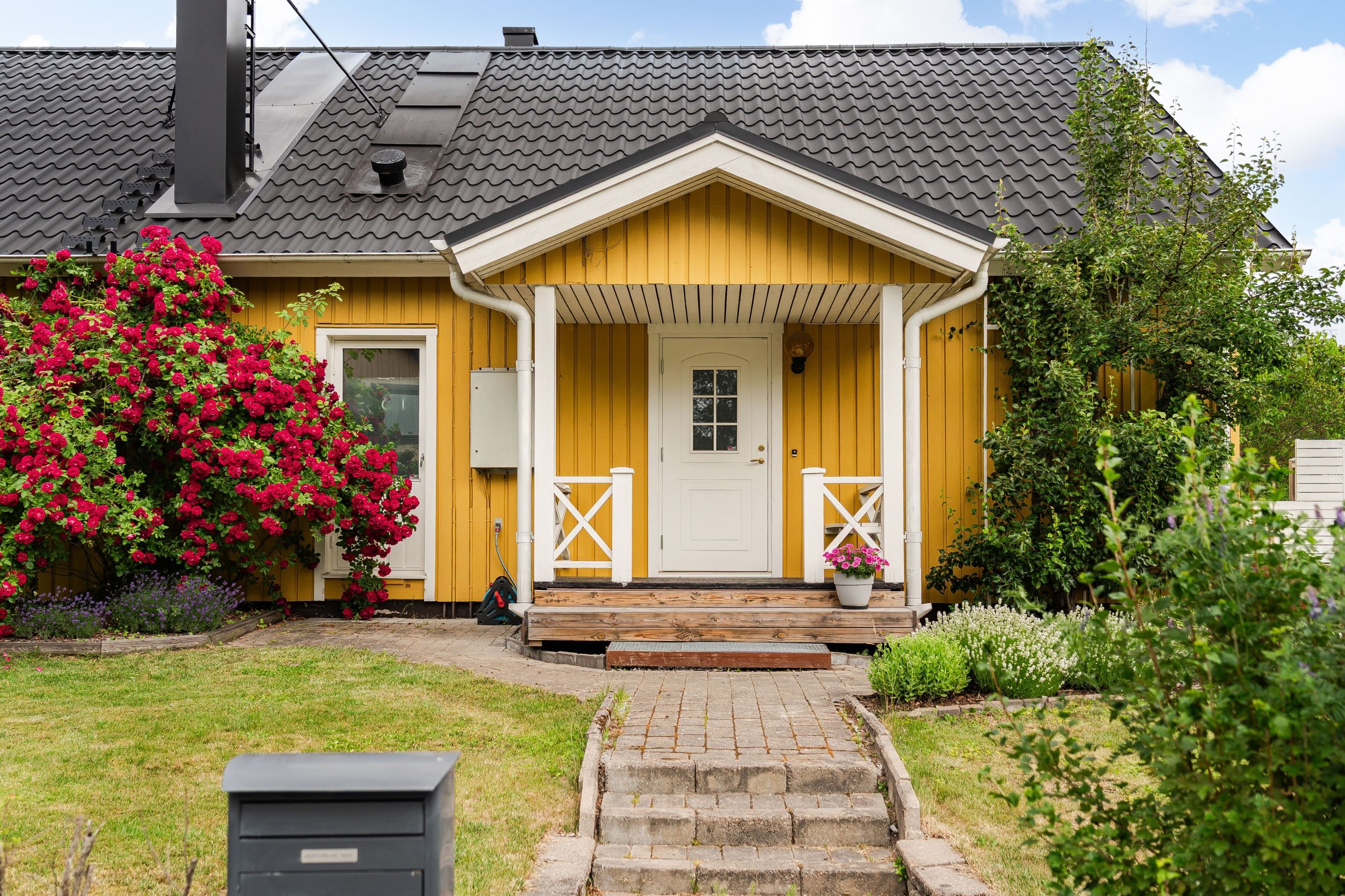 Exteriör
