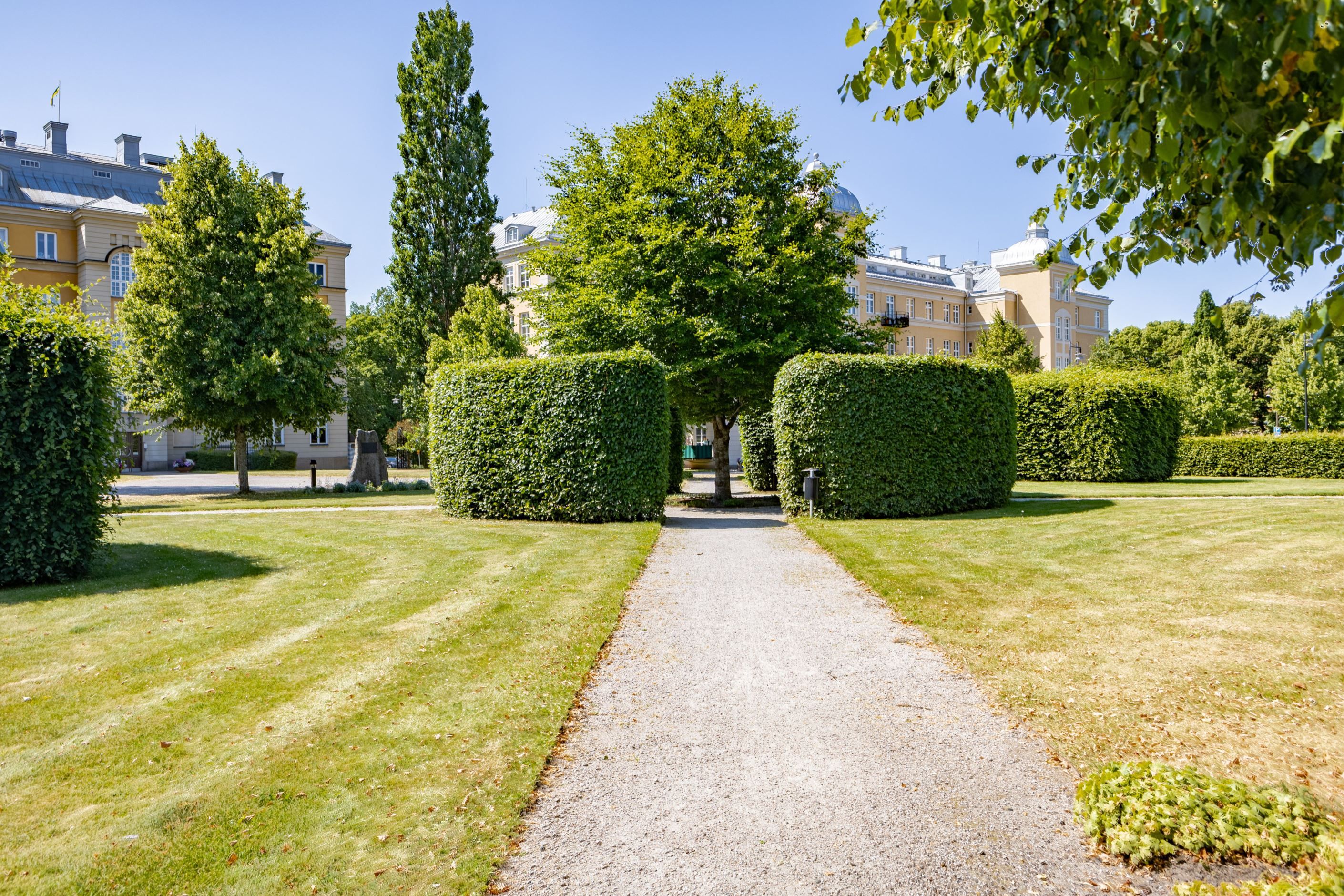 Trädgård