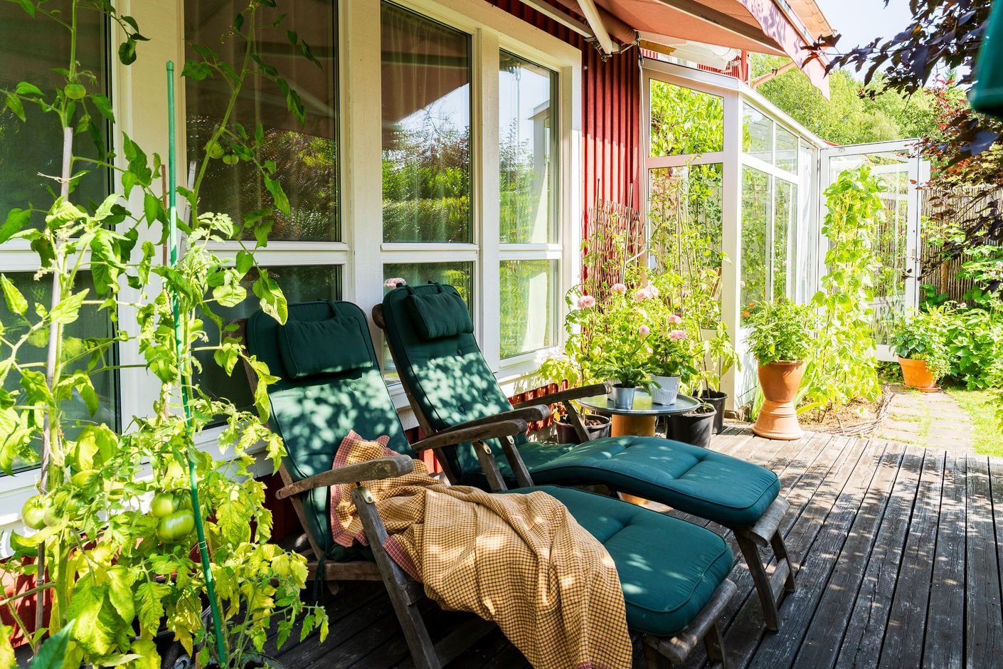 Trädgård