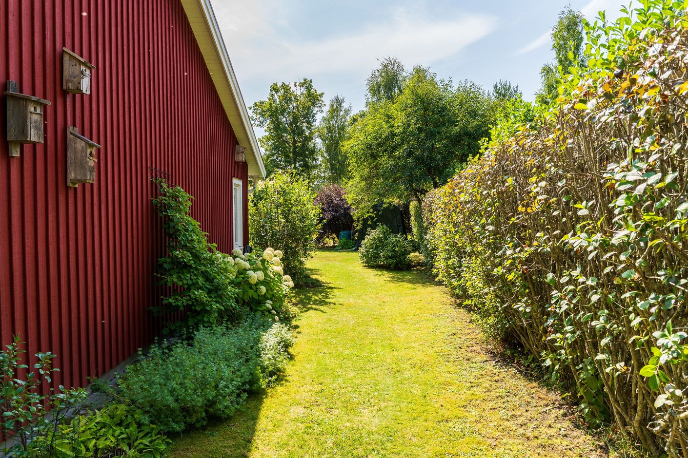 Trädgård