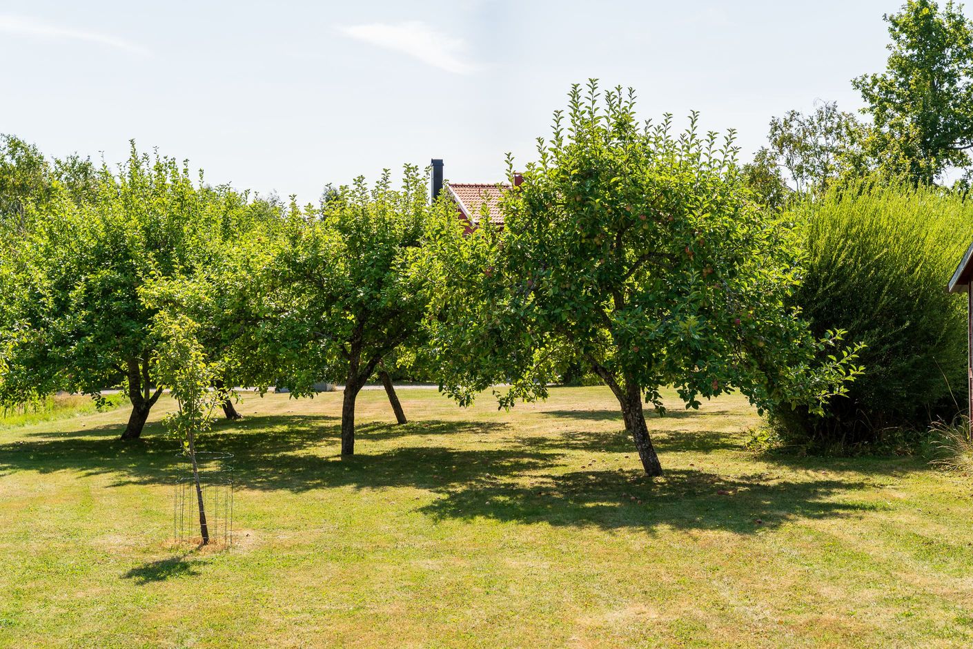 Innergård