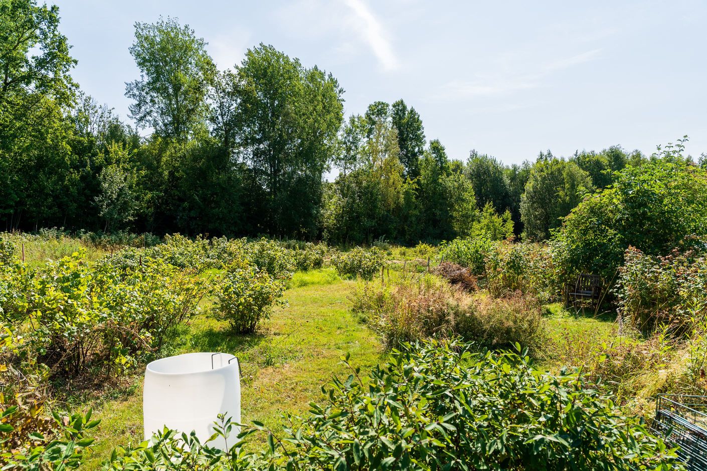 Innergård