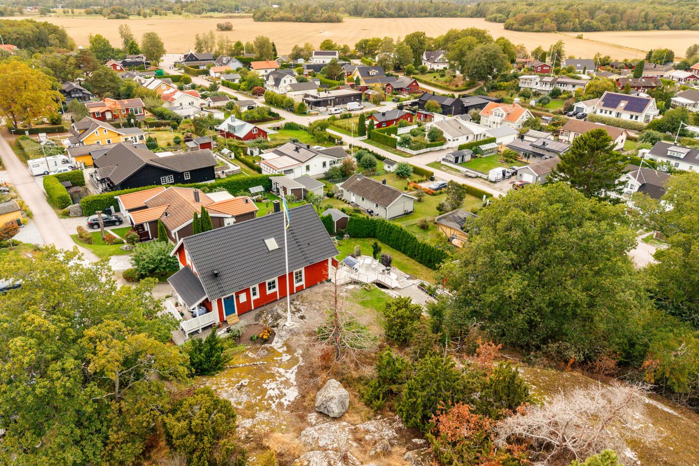 Exteriör