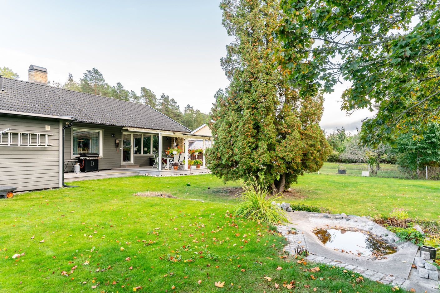 Trädgård