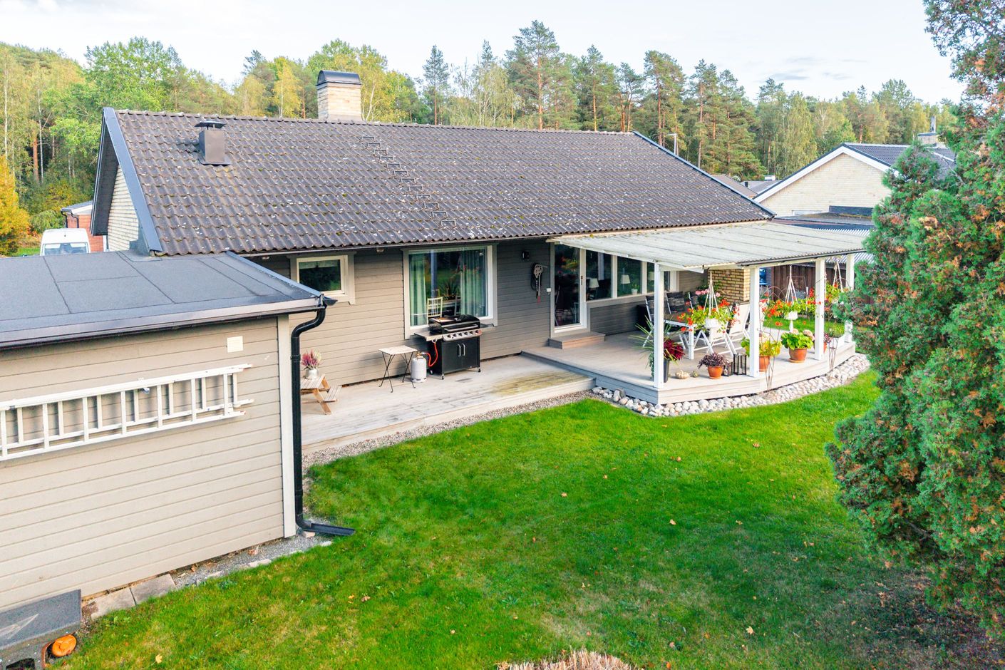 Trädgård