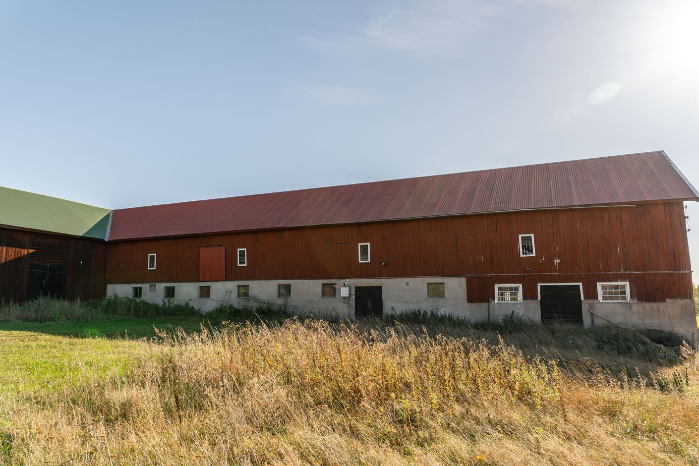 Exteriör