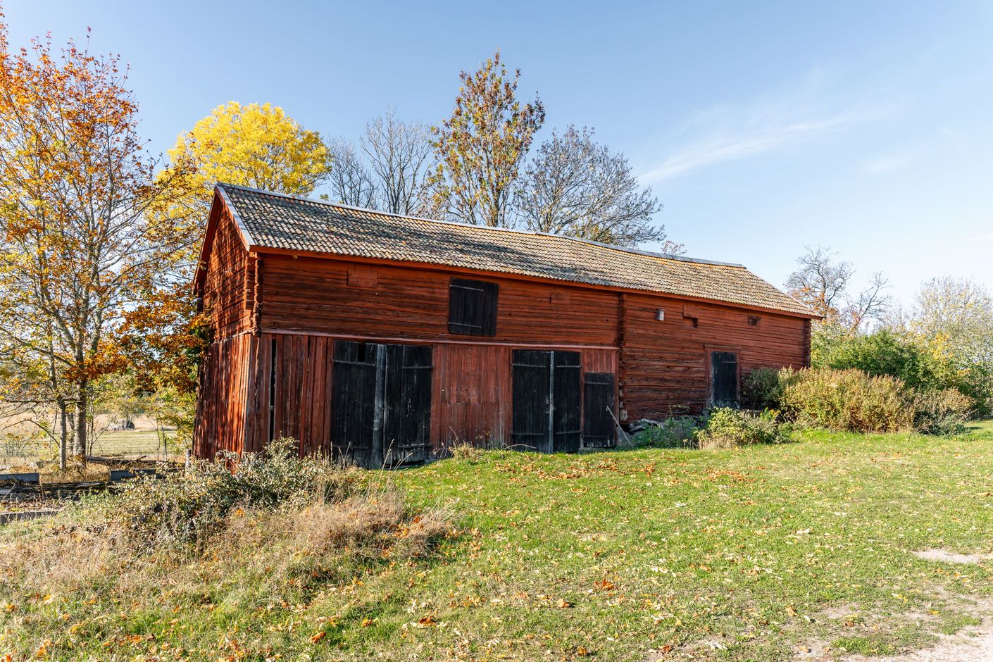 Exteriör