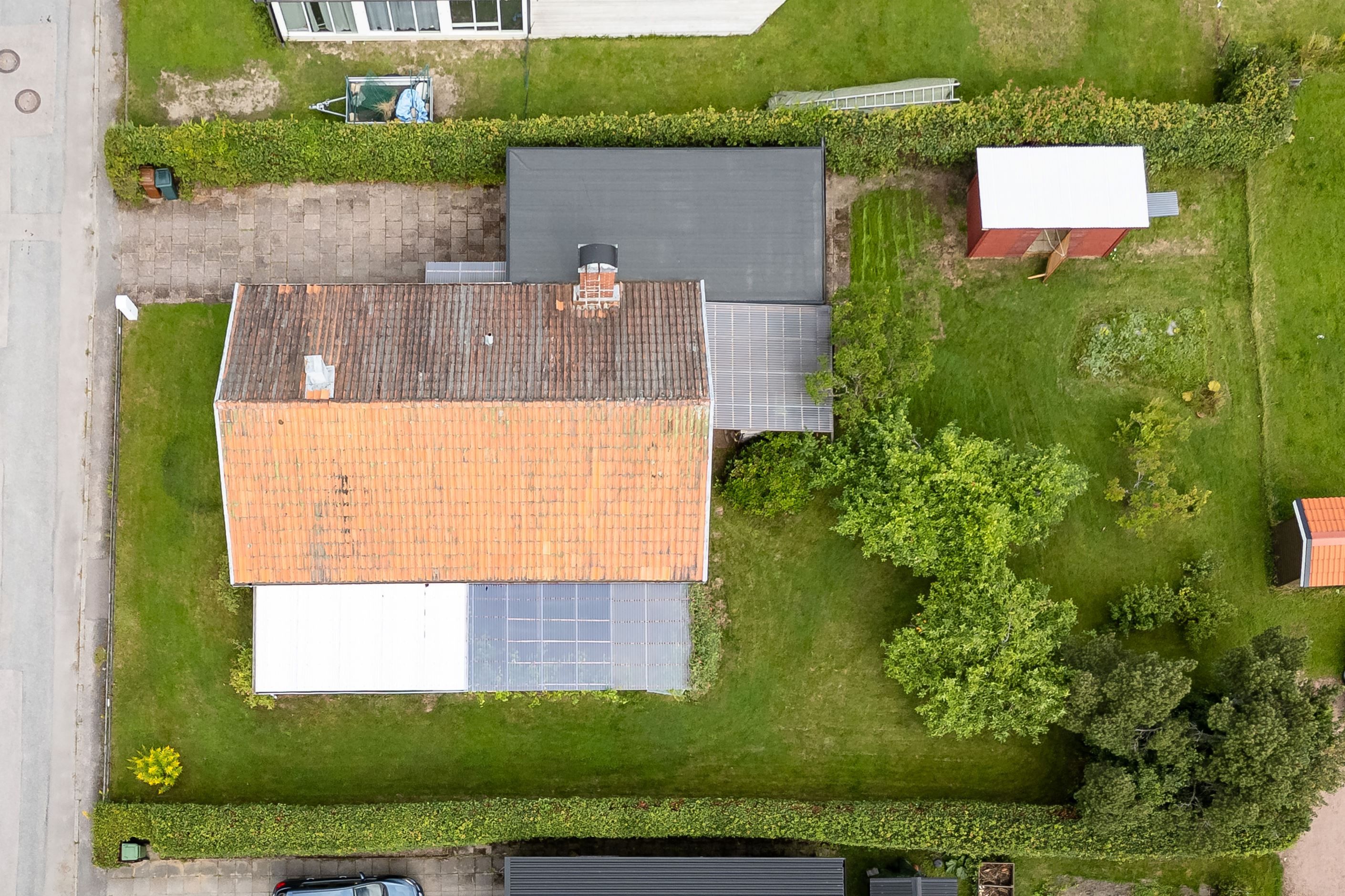 Exteriör