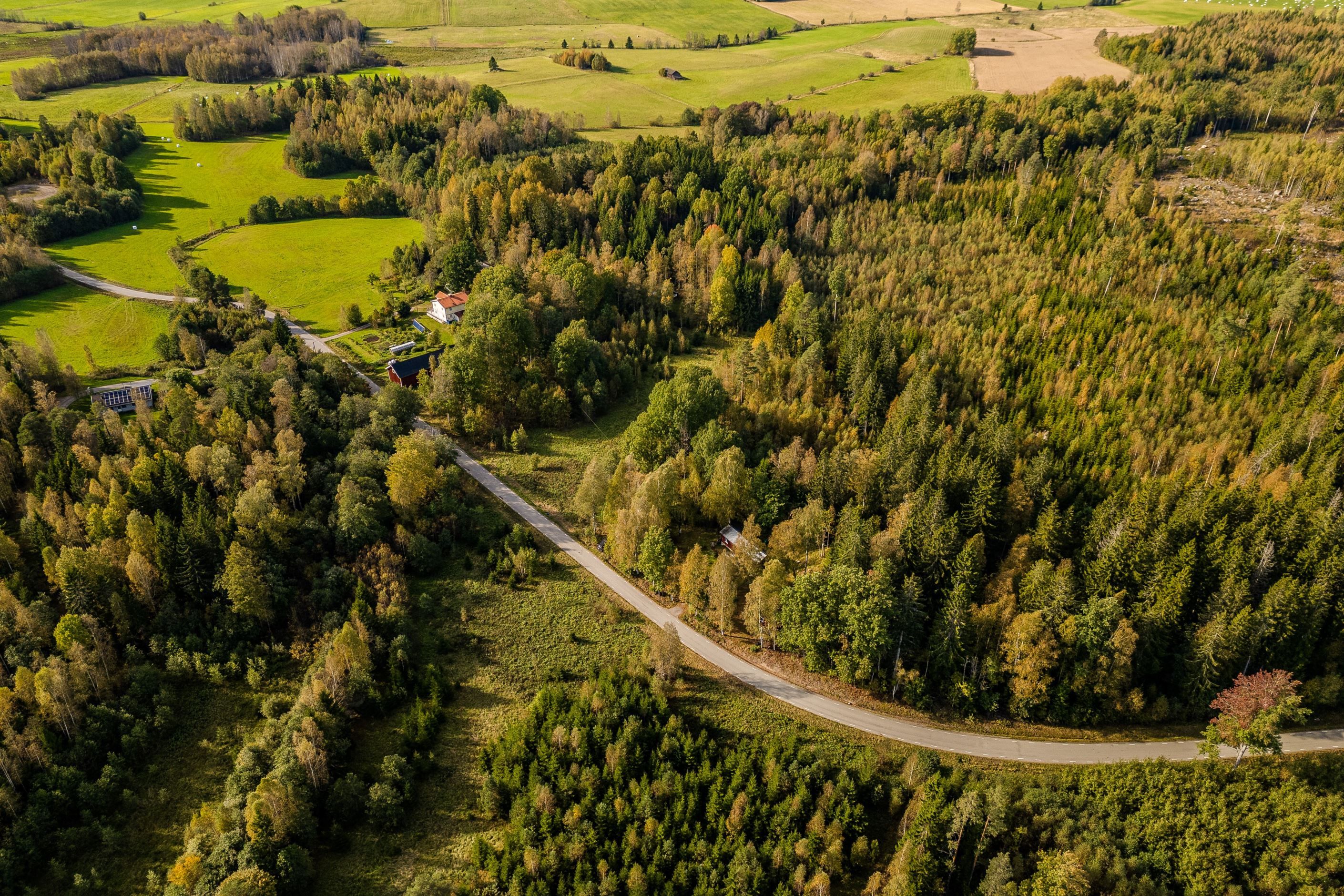 Flygfoto