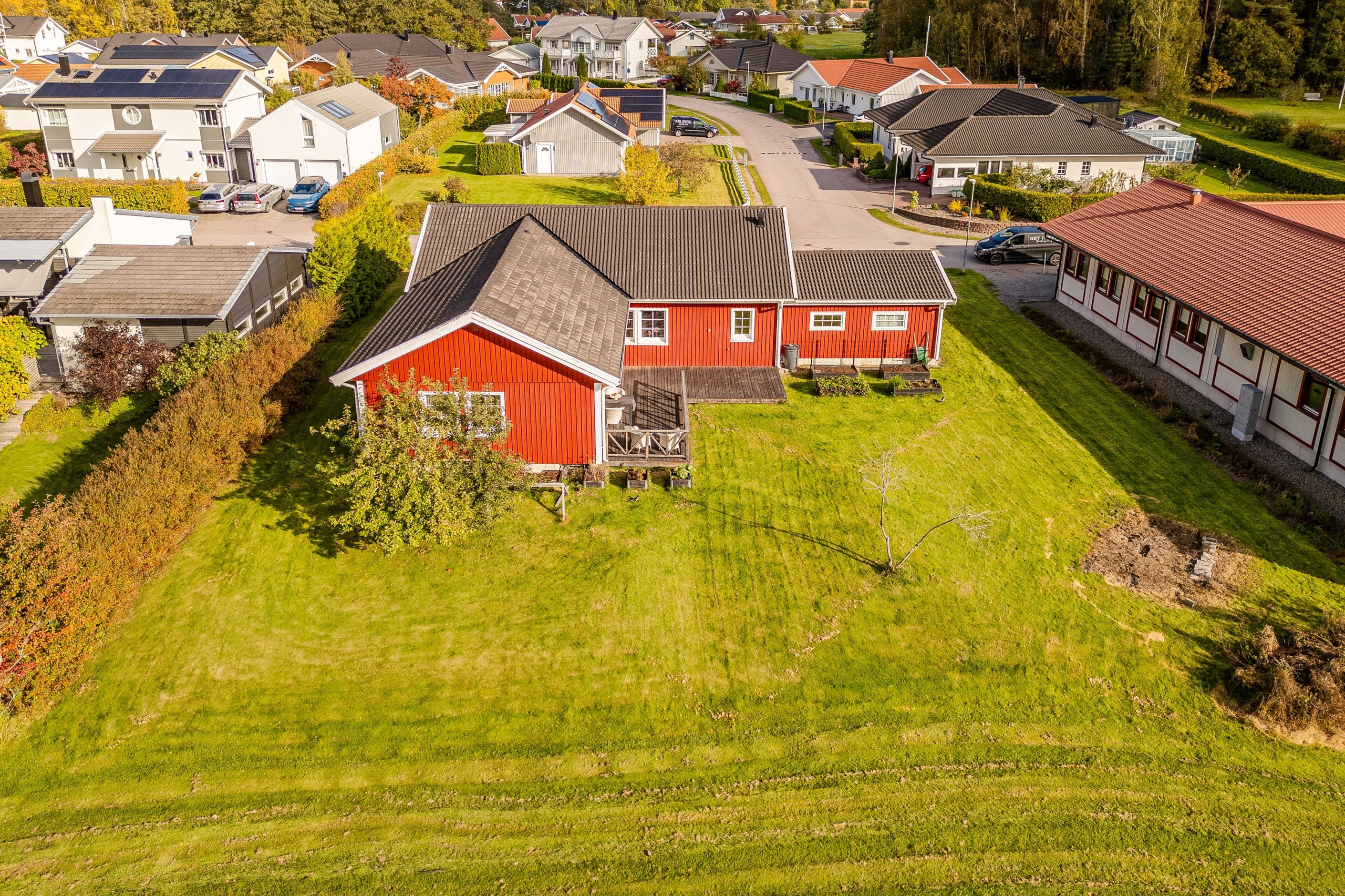 Trädgård