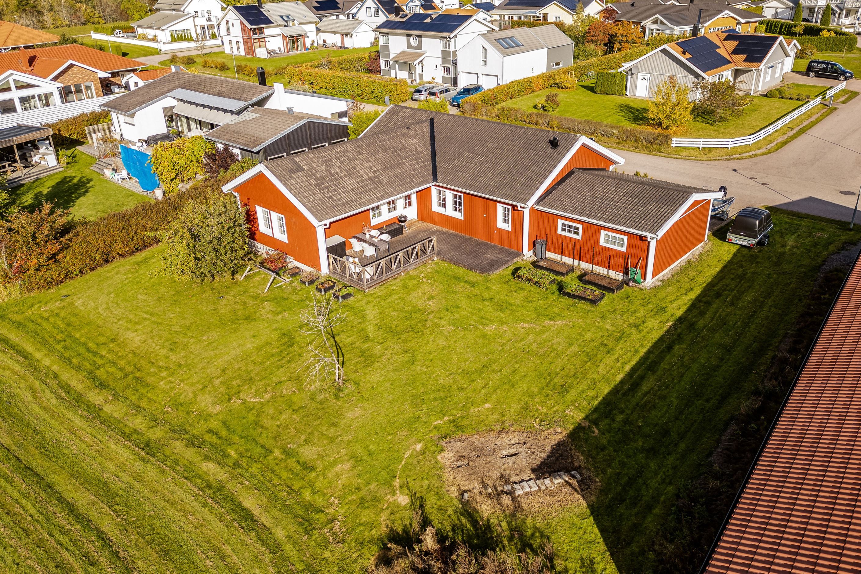 Trädgård