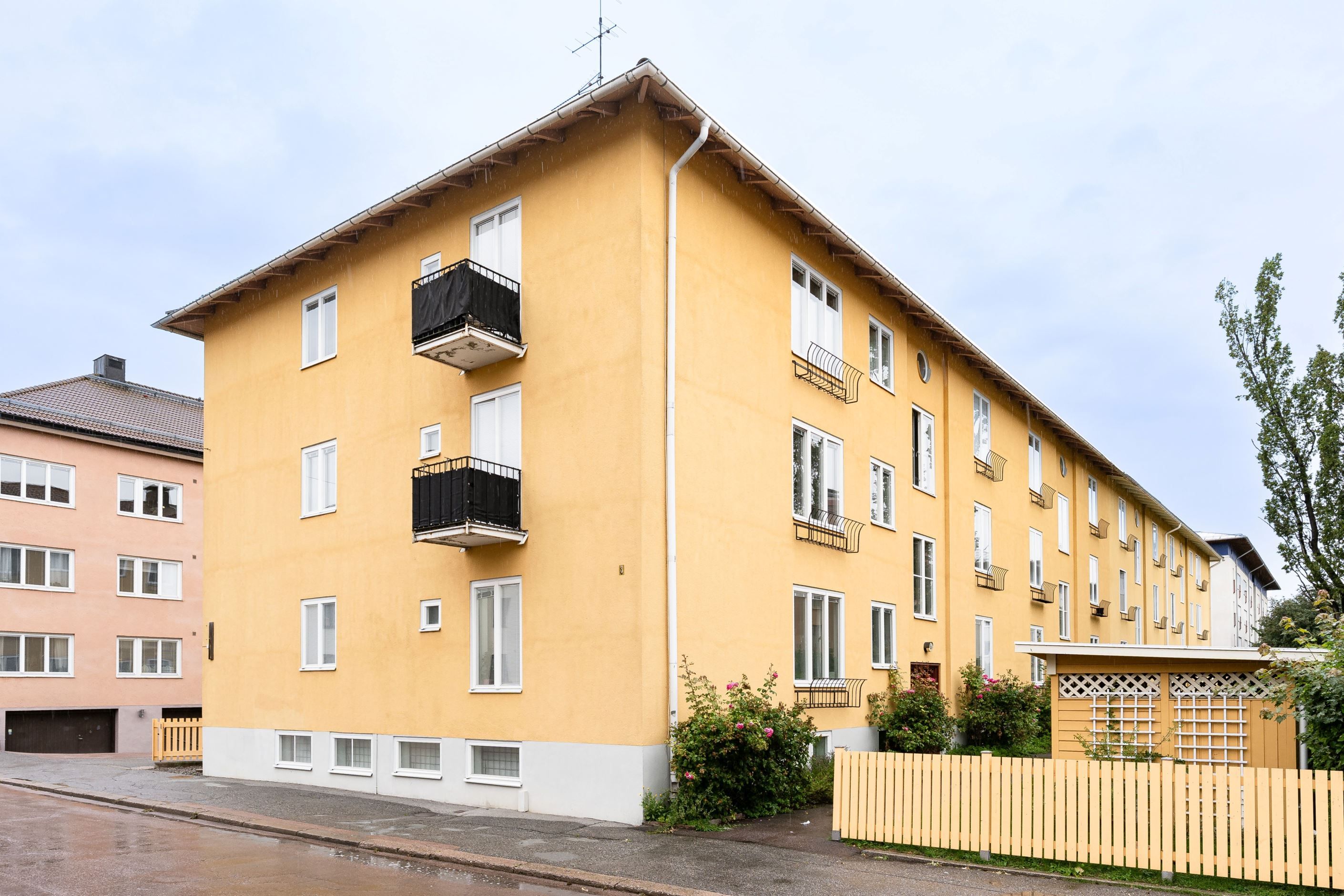 Exteriör
