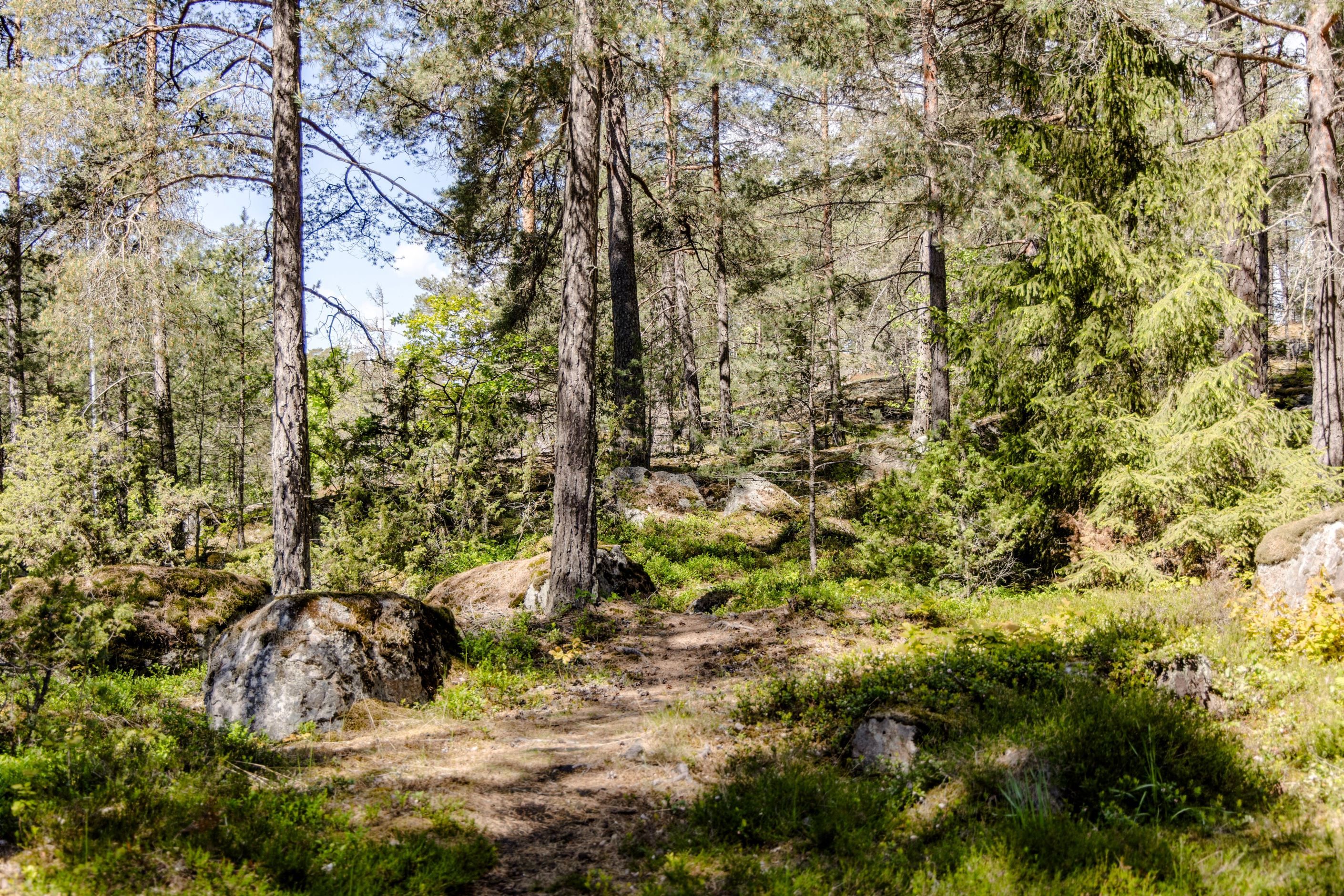 Områdesbild