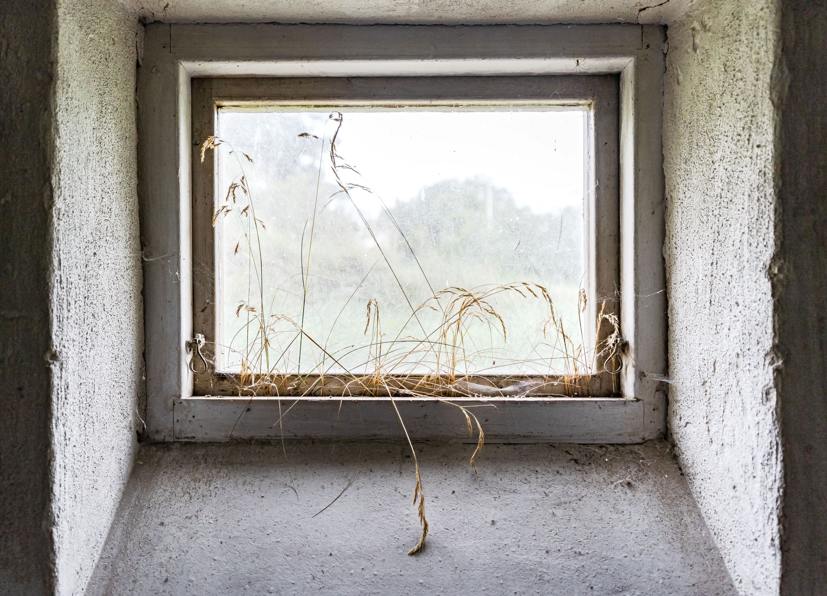 Områdesbild