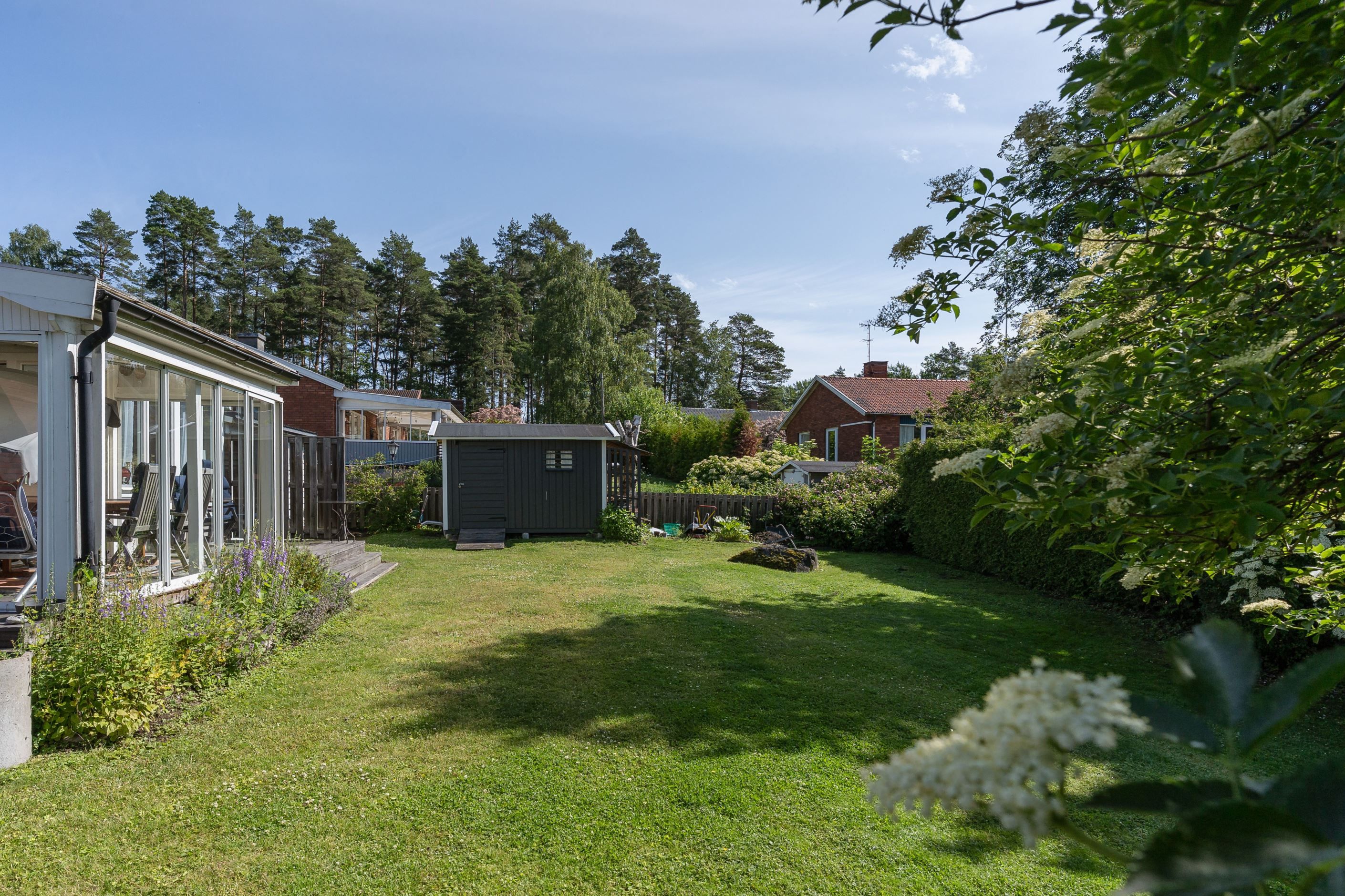 Trädgård